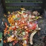 THE RULES OF COMPOSTING