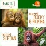 THE ORANGUTAN PROJECT #PALMOILFREE