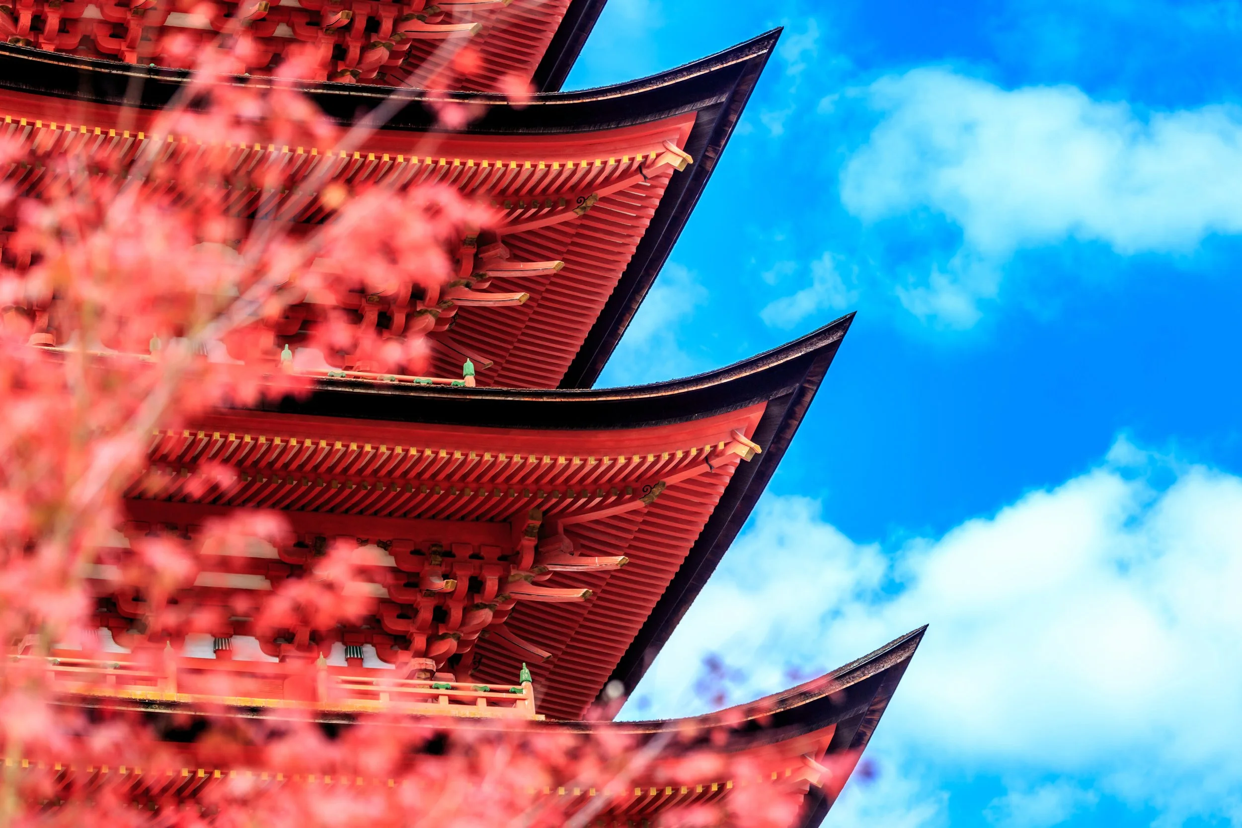 At Long Last, Japan is Open for Visitors!