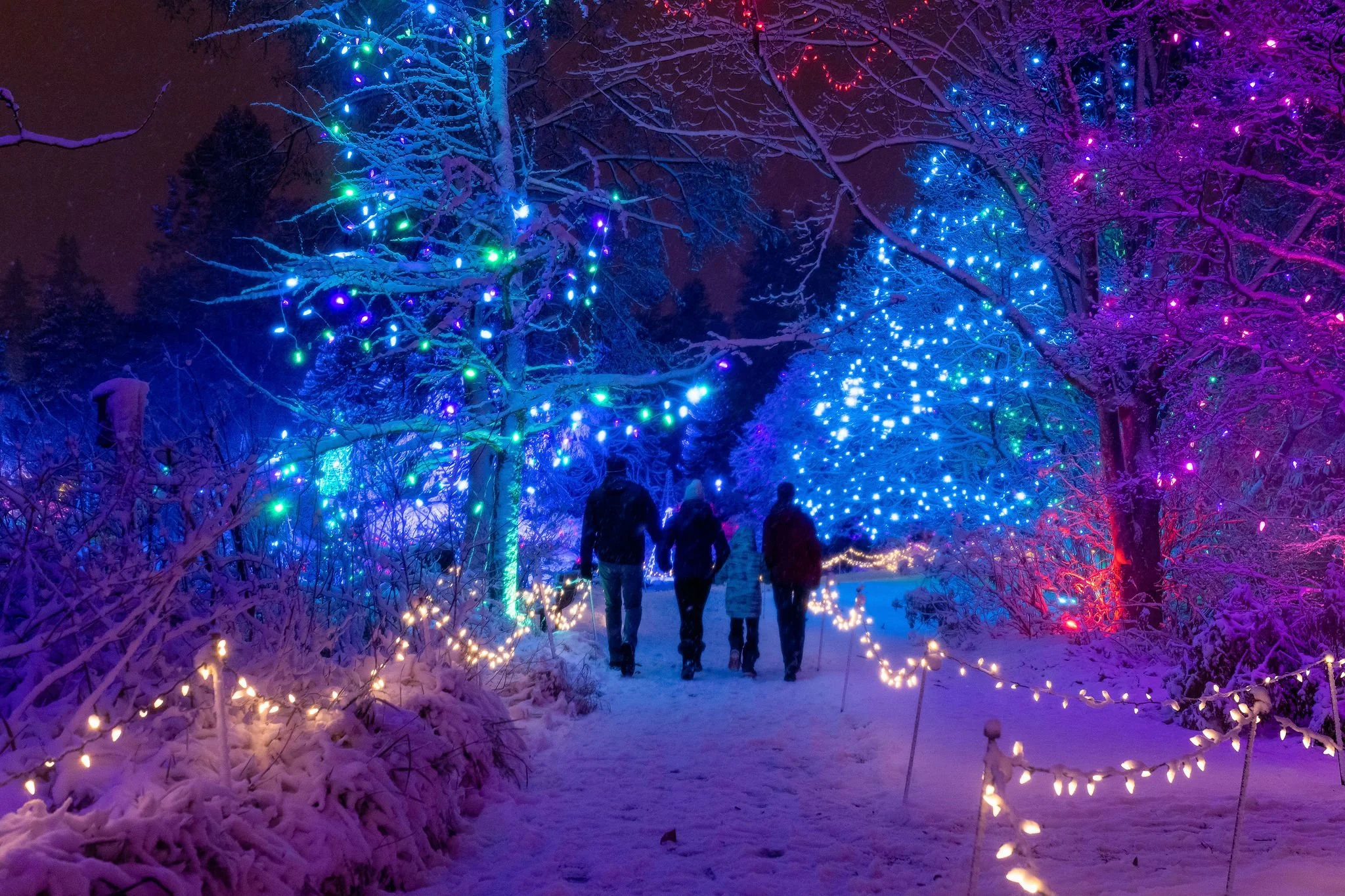 The Brightest Celebrations Around the World