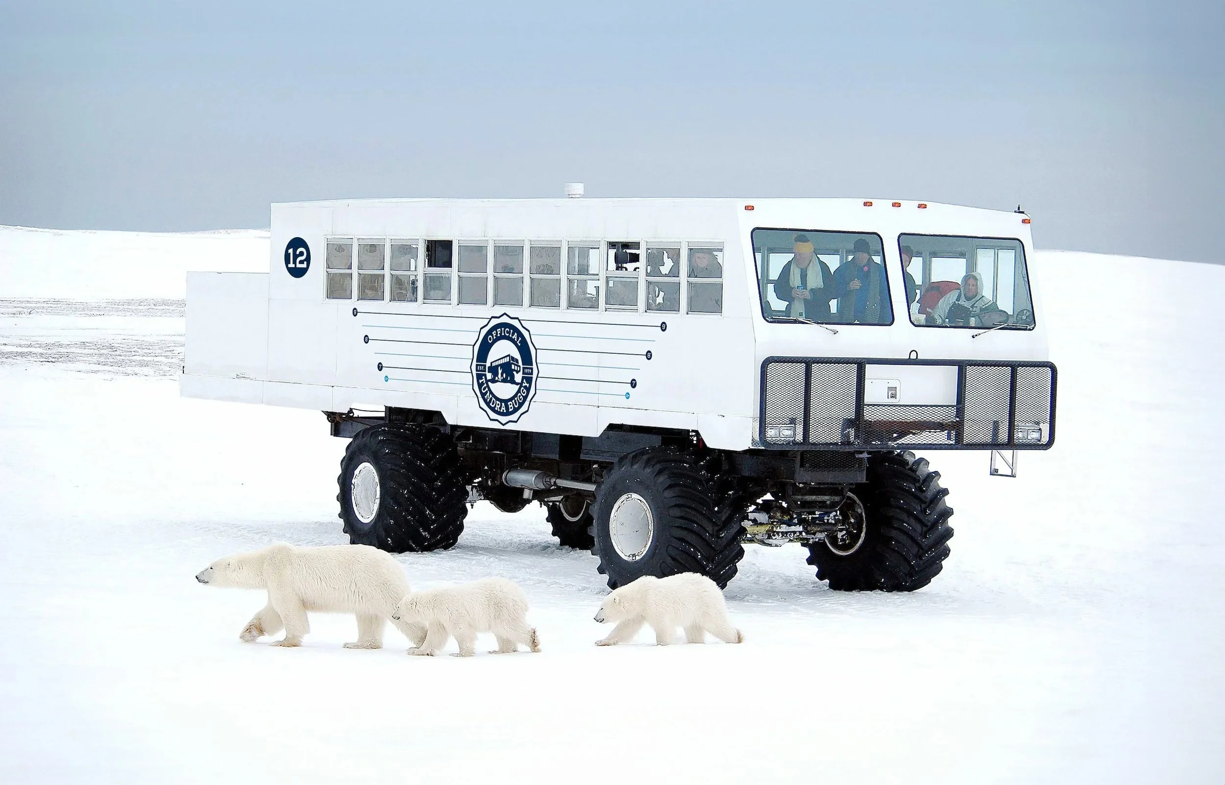 Safari-2-Manitoba-Frontiers-North-Tundra-Buggy.jpg