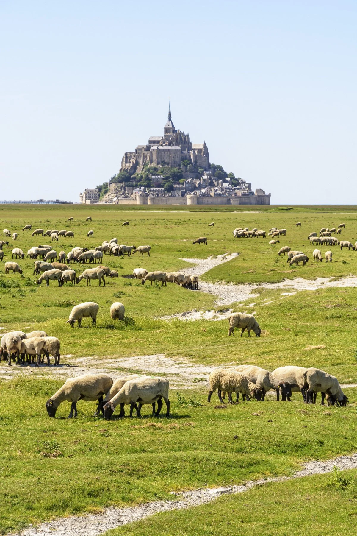 France-08-Normandy-edit.jpg