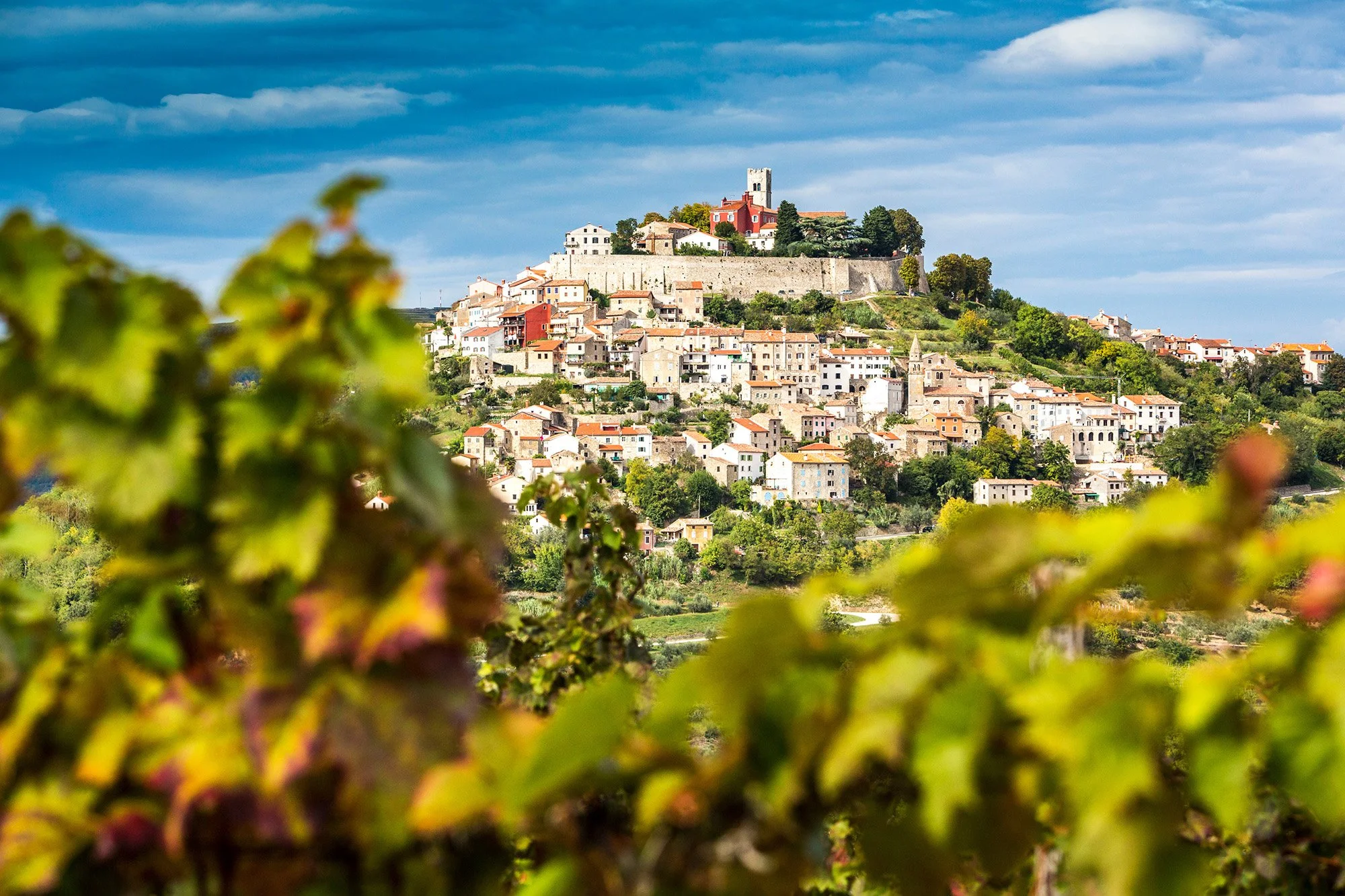 Combo-Trips-4-Croatia-Motovun.jpg