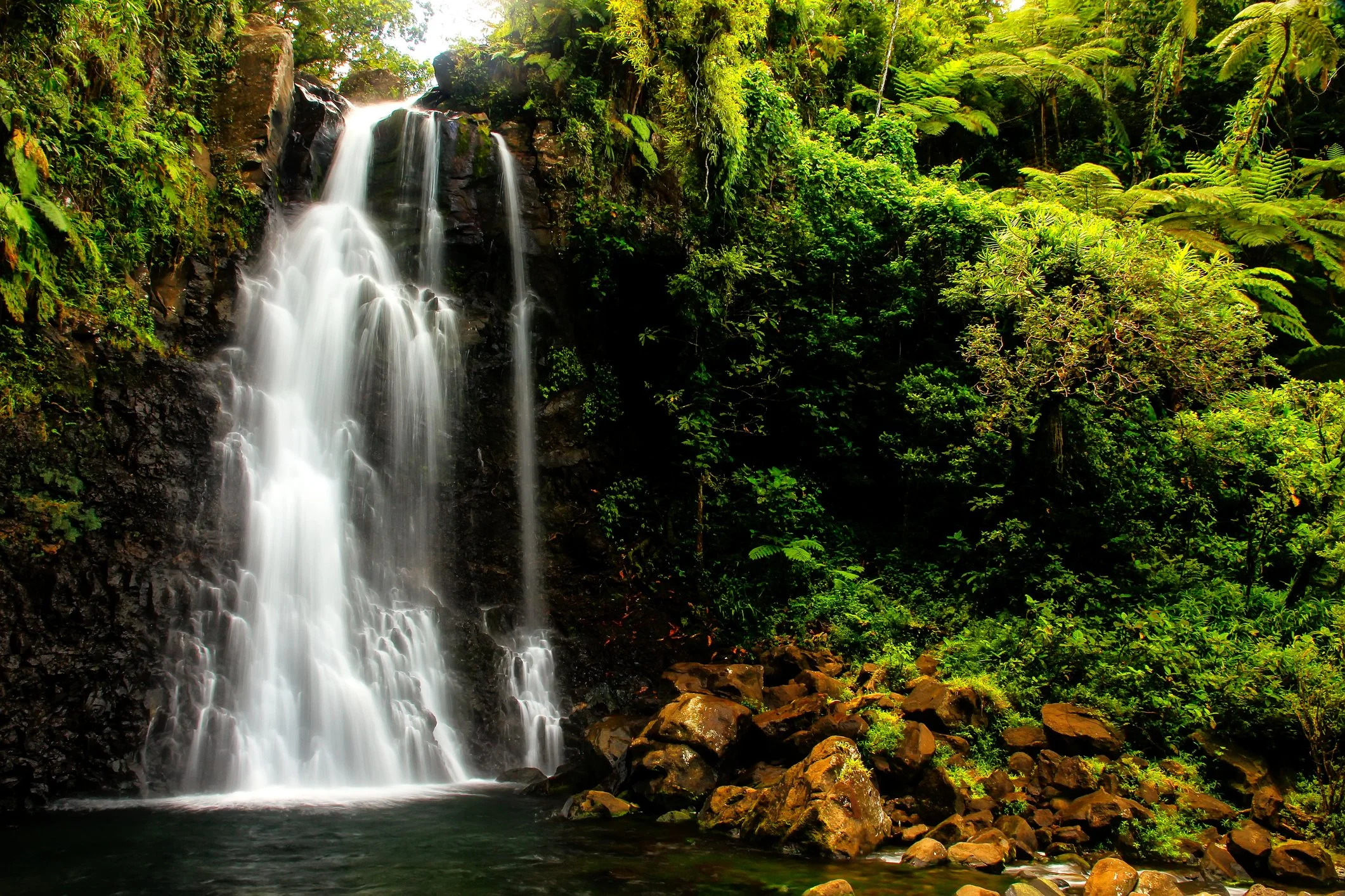 Combo-Trips-8-Fiji.jpg