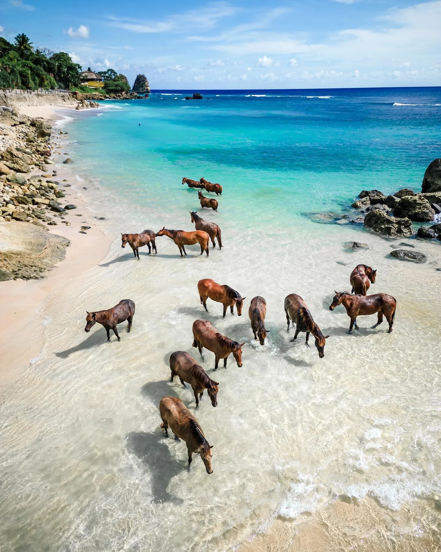 Lunar-New-Year-2026-5-Indonesia-Nihi Sumba -17.jpeg