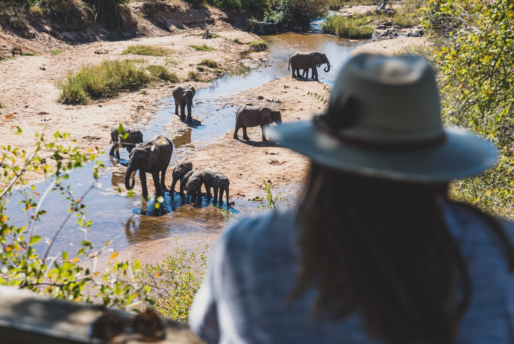 Solo-Travel-7-Safari-Londolozi Private Game Reserve -6 2.jpeg