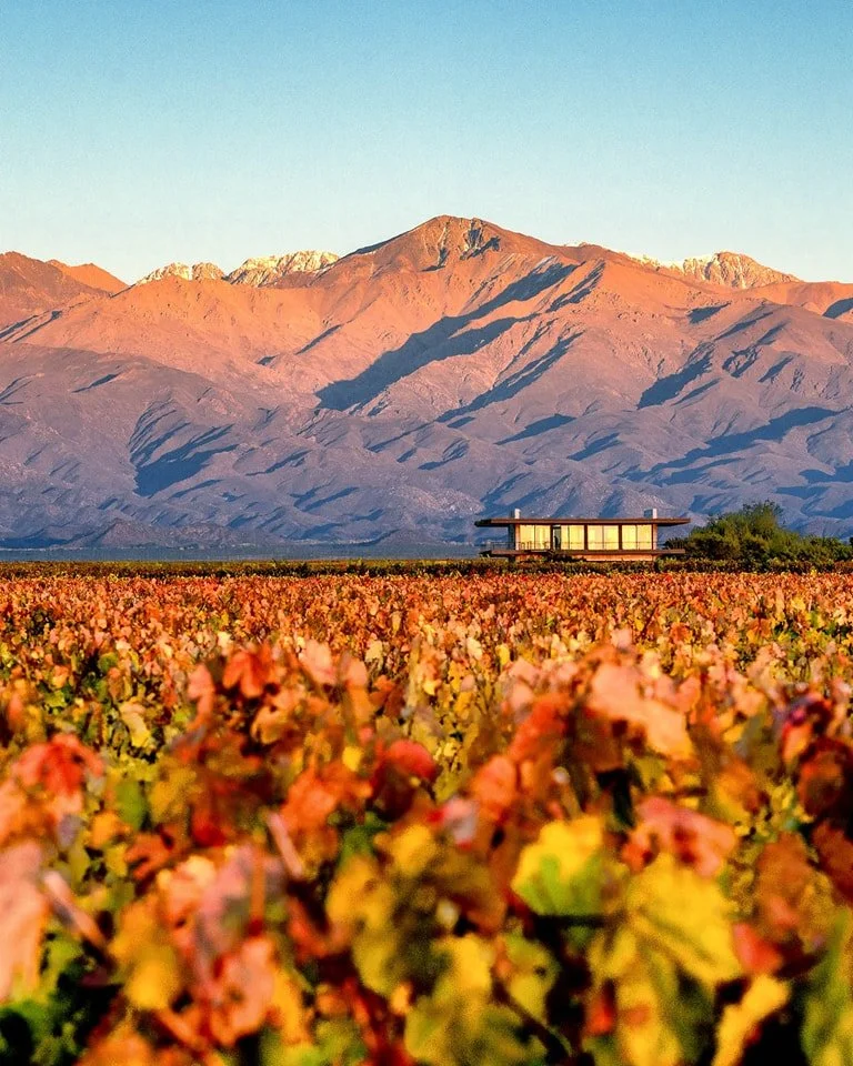South-America-10-Argentina-The Vines Resort and Spa-6.jpg