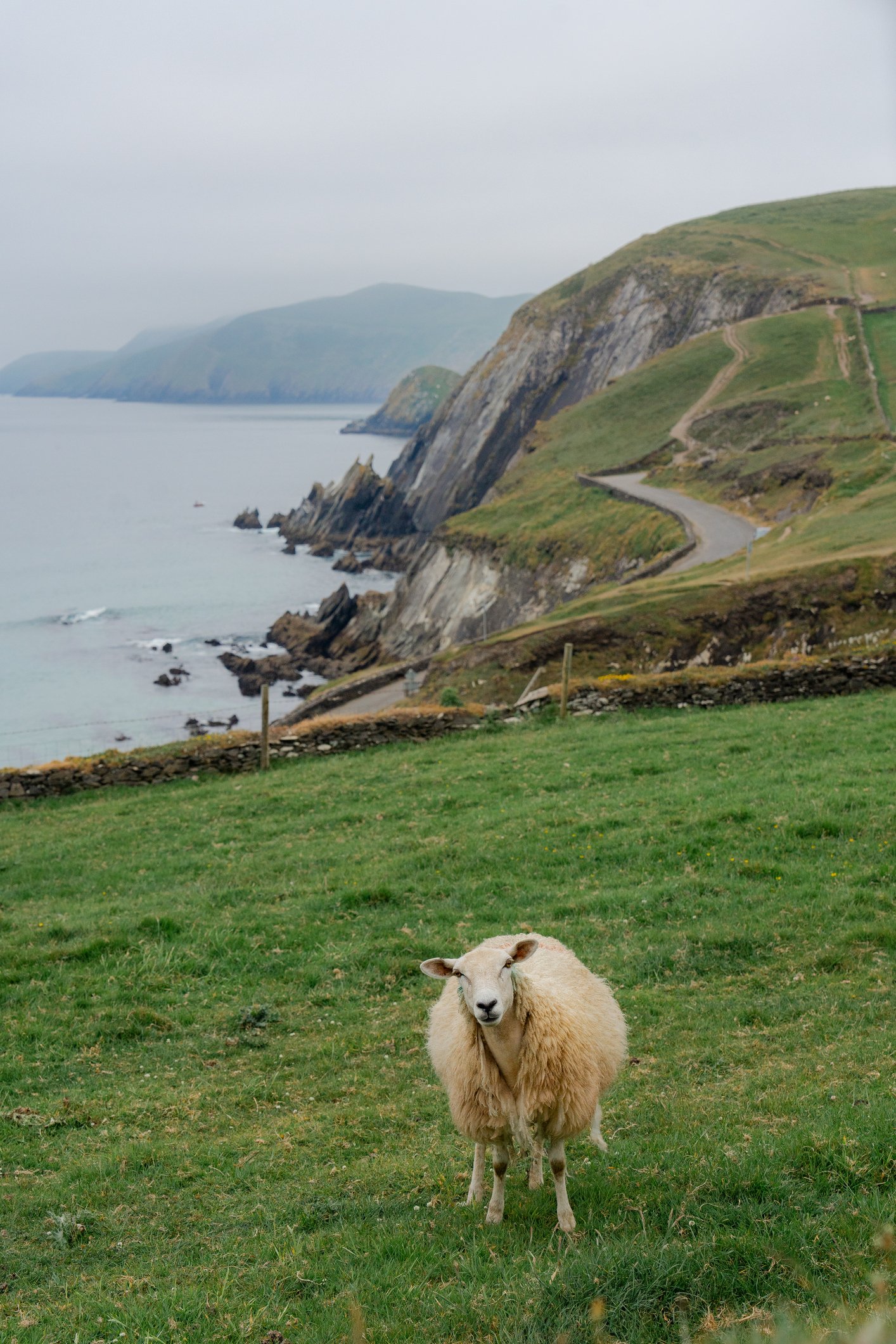 Safe-Haven-5-Ireland.jpg