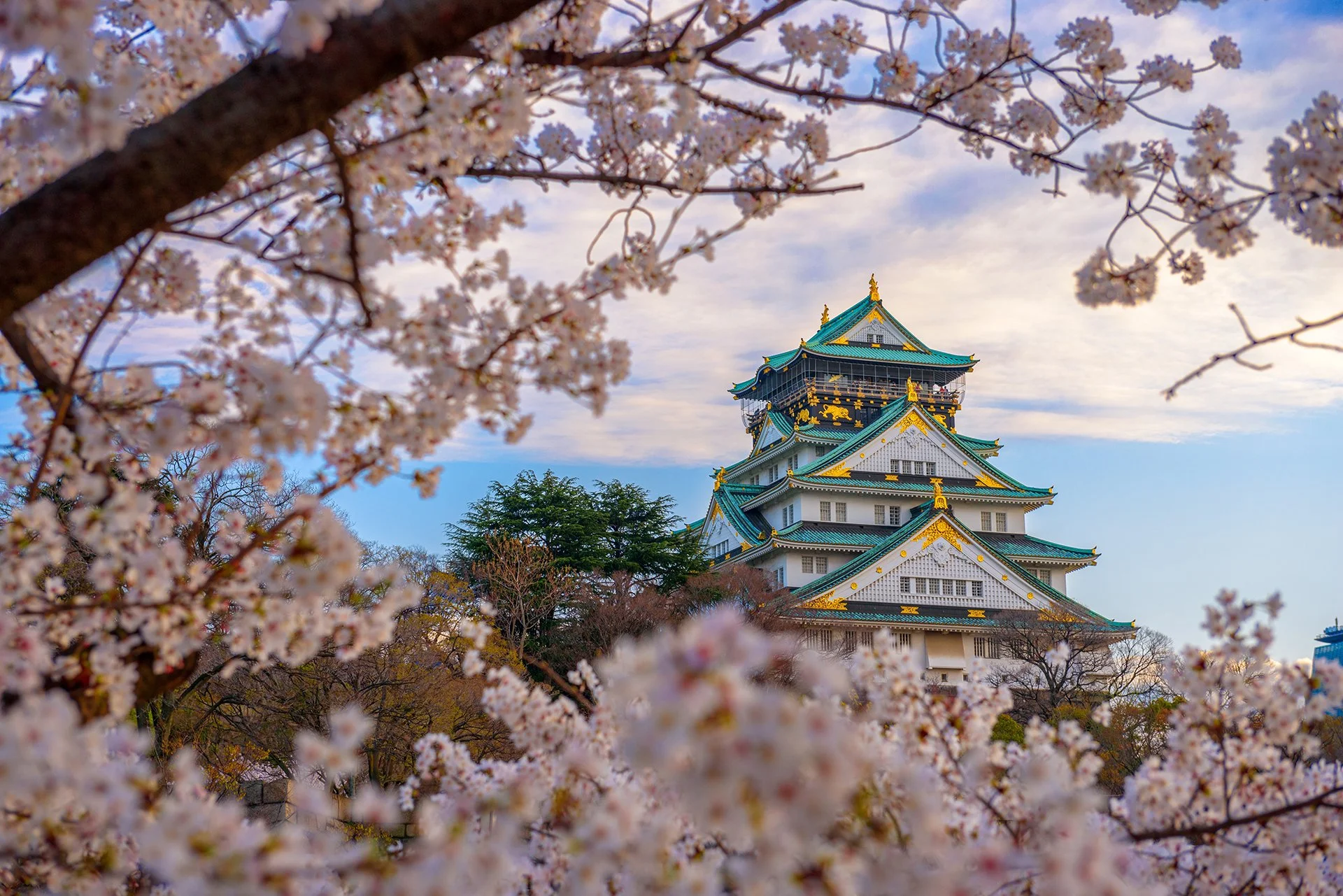 Safe-Haven-8-Japan.jpg