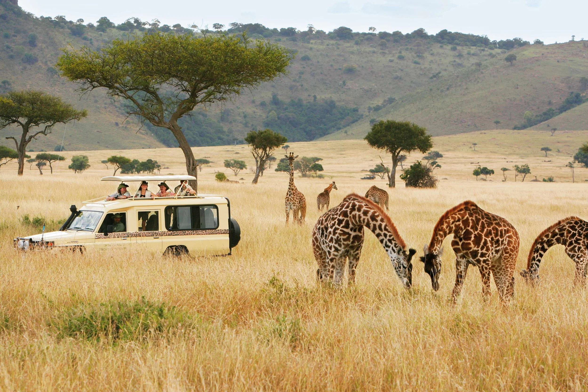 Beyond the Big Five: Finding The Right Safari