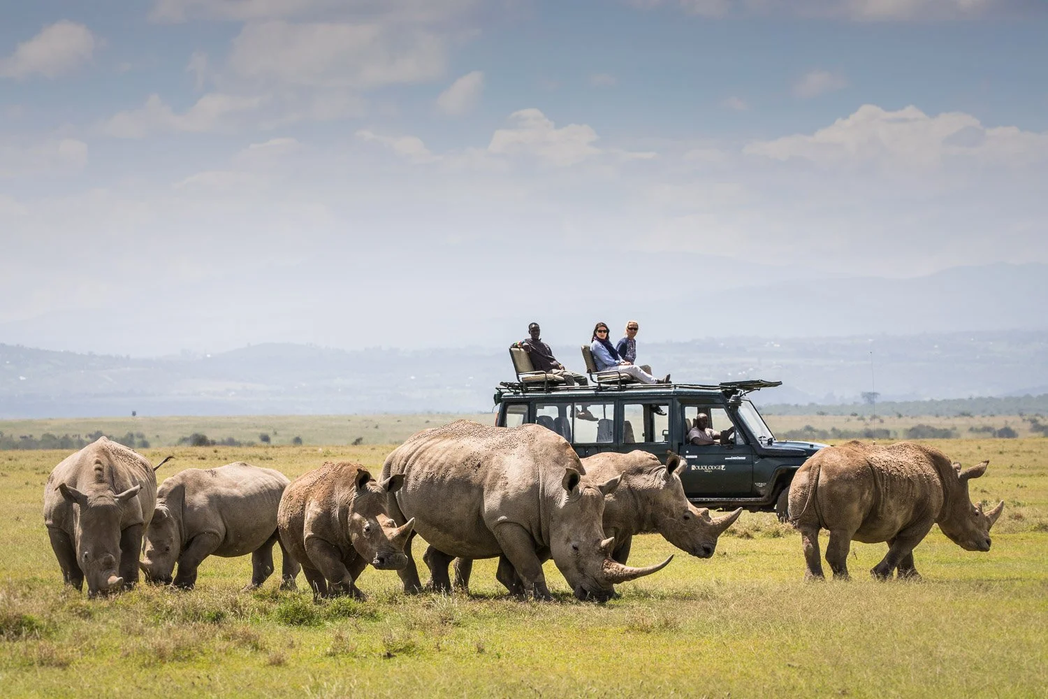 Safari-2-Kenya-Solio-Lodge-Rhino-7.jpg