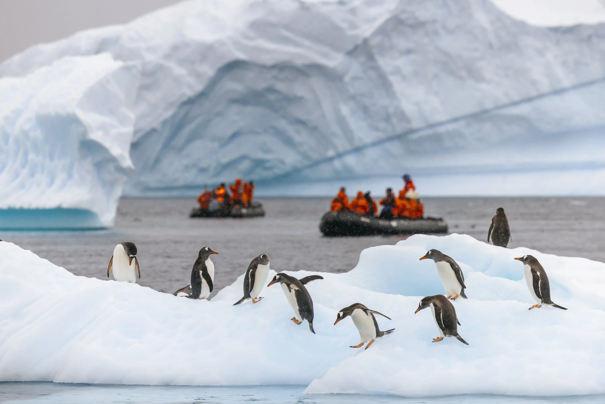 Expedition-Travel-3-Antarctica.jpg