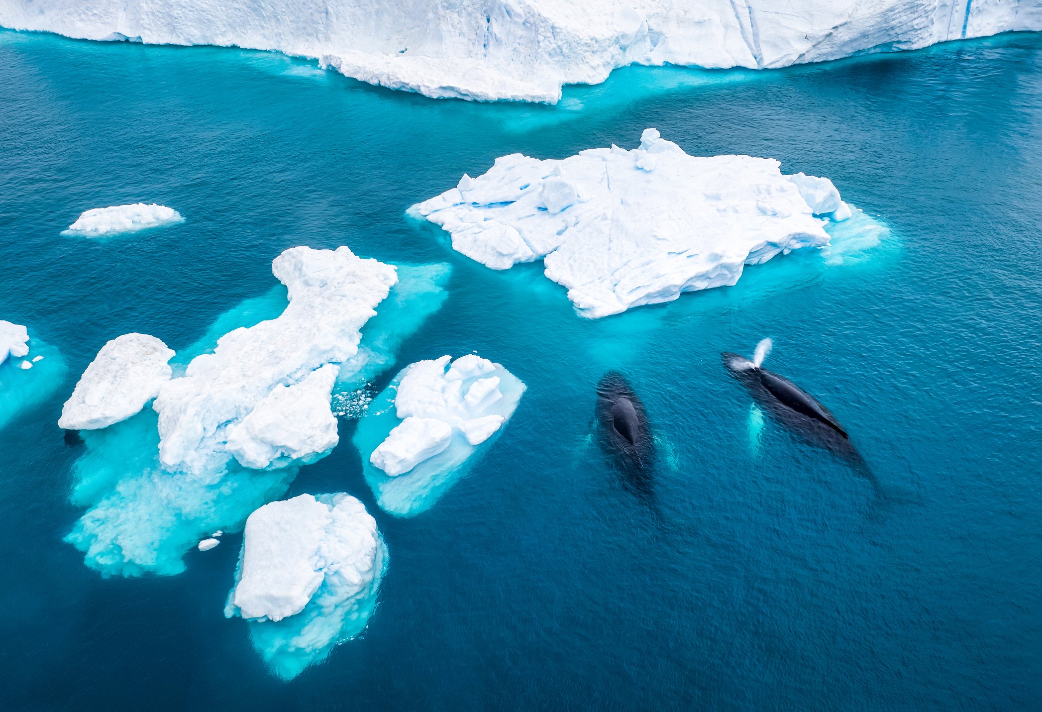 Expedition-Travel-9-Greenland.jpg