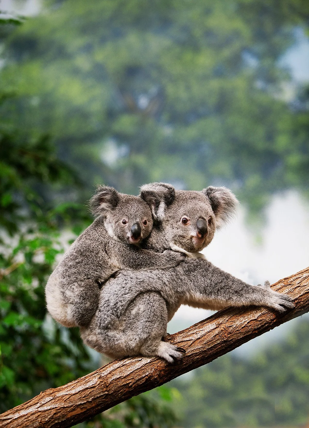 Australia-07.jpg