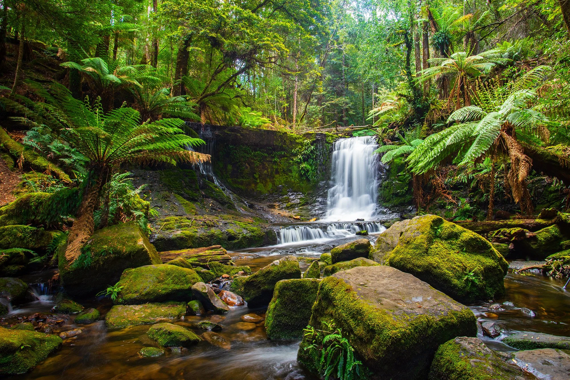 Australia-10.jpg