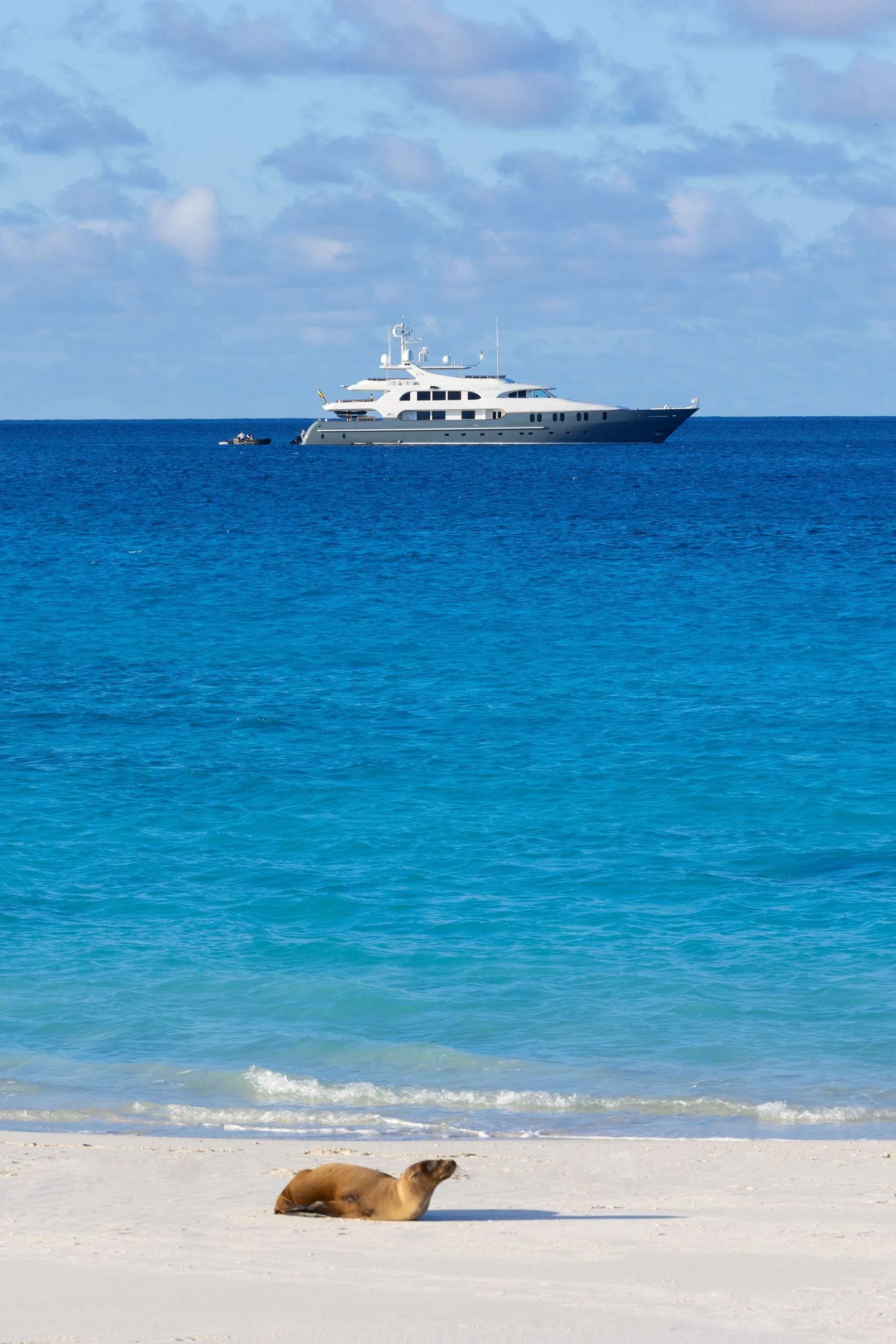 Summer-07-Aqua-Expeditions-Galapagos.jpeg