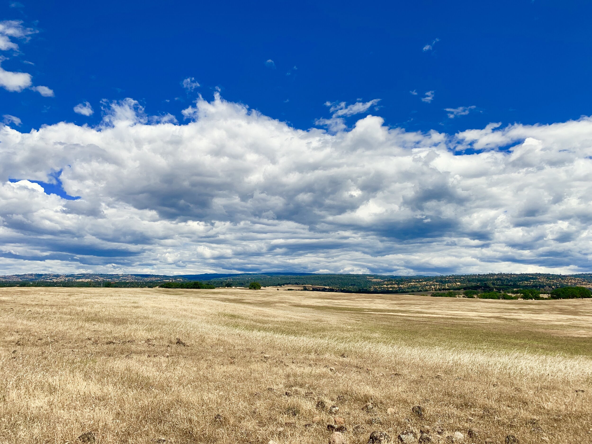 Perspective, Before We Jump Into the Fray