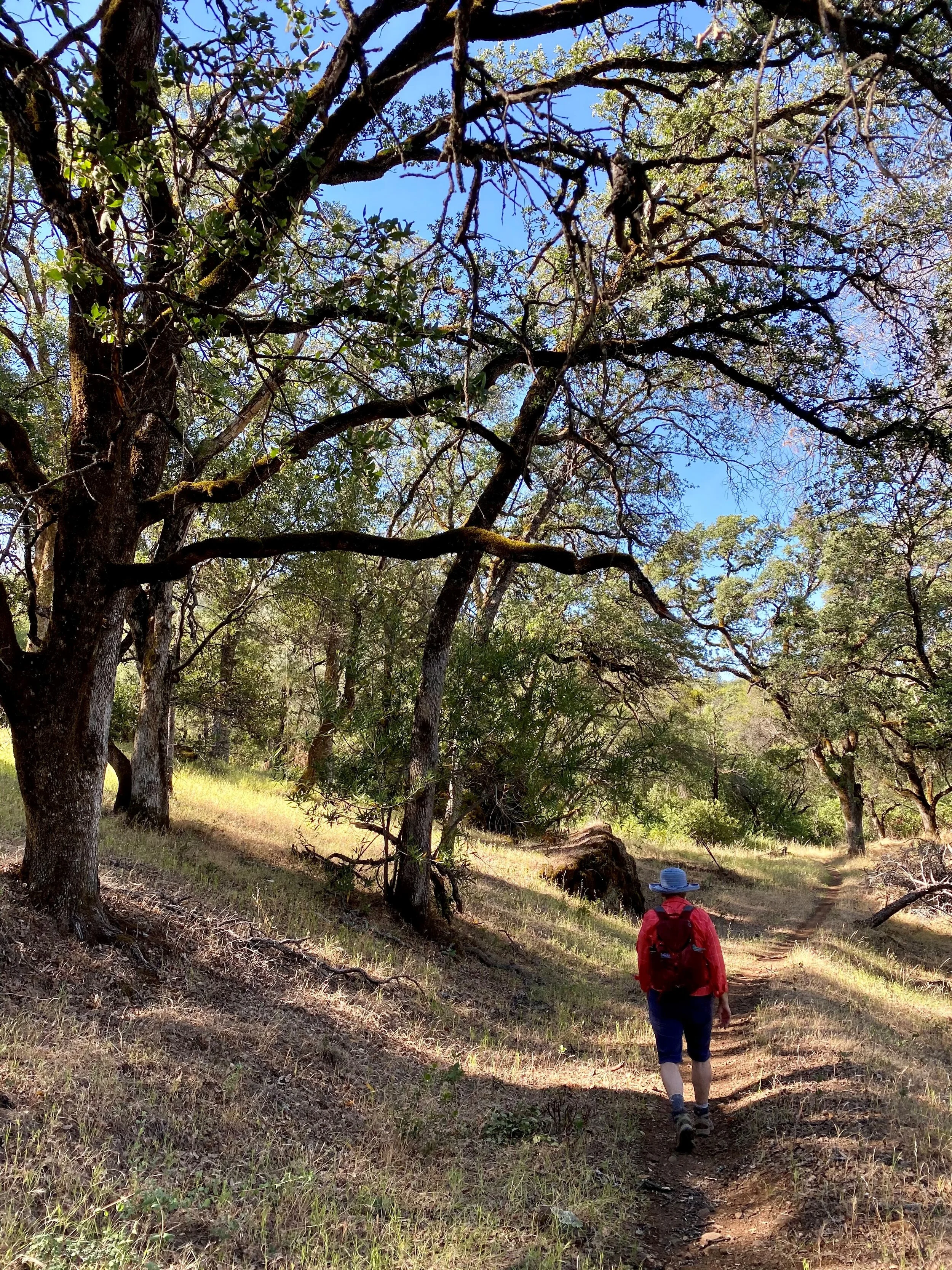 #HikeButteCA Pass