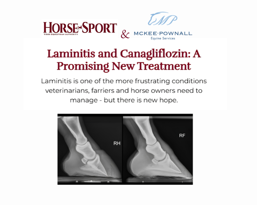 Laminitis and Canagliflozin: A Promising New Treatment