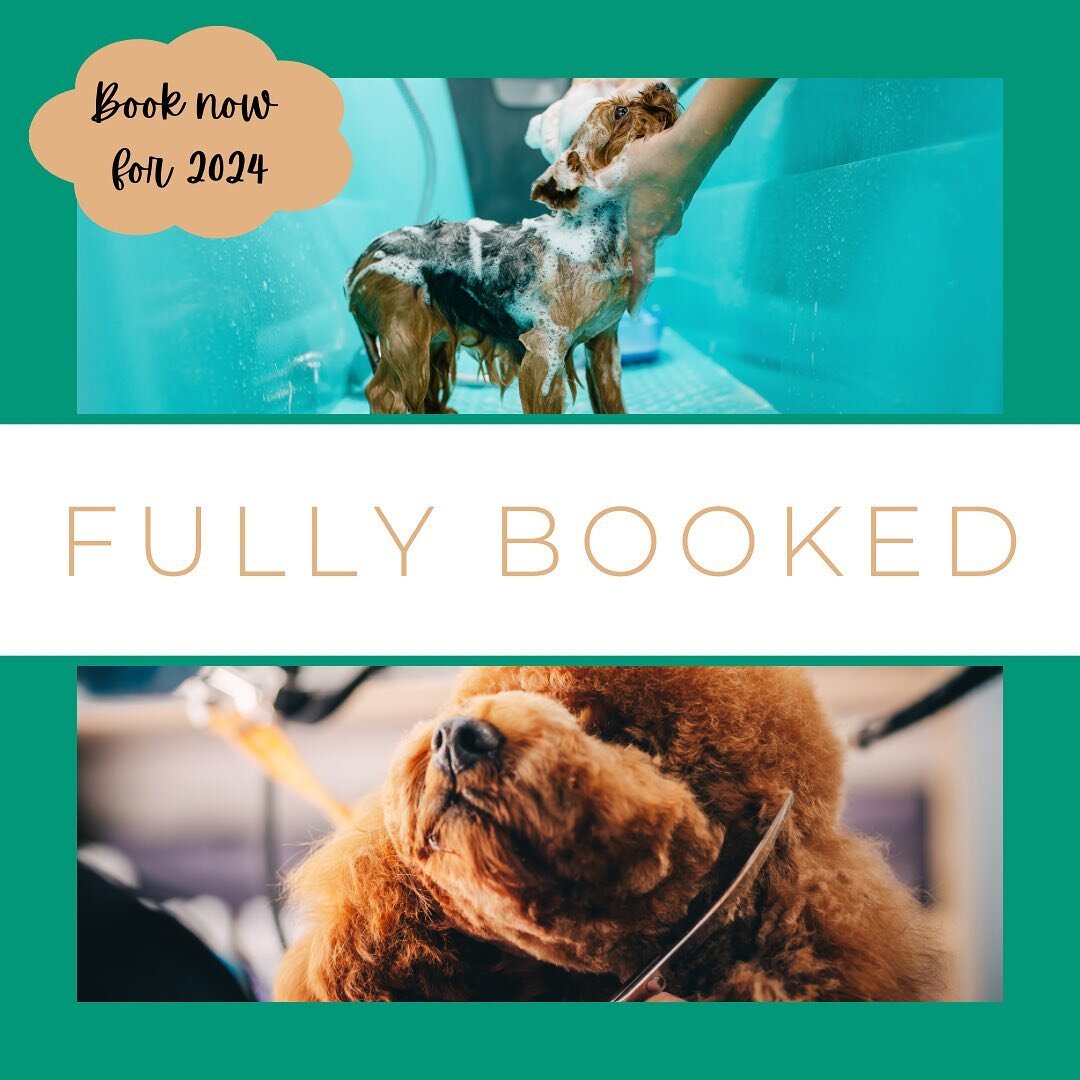 FULLY BOOKED UNTIL 2024 🗓️

Existing clients, we encourage you to contact us to set up your 2024 schedule ASAP. We have been receiving a large volume of new client requests recently, so recommend organising multiple appointments for the new year. We