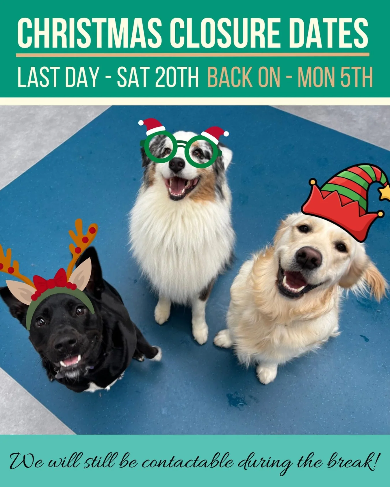1 more week of tails wags for 2025! 
Here&rsquo;s our closure dates for the holiday period!
