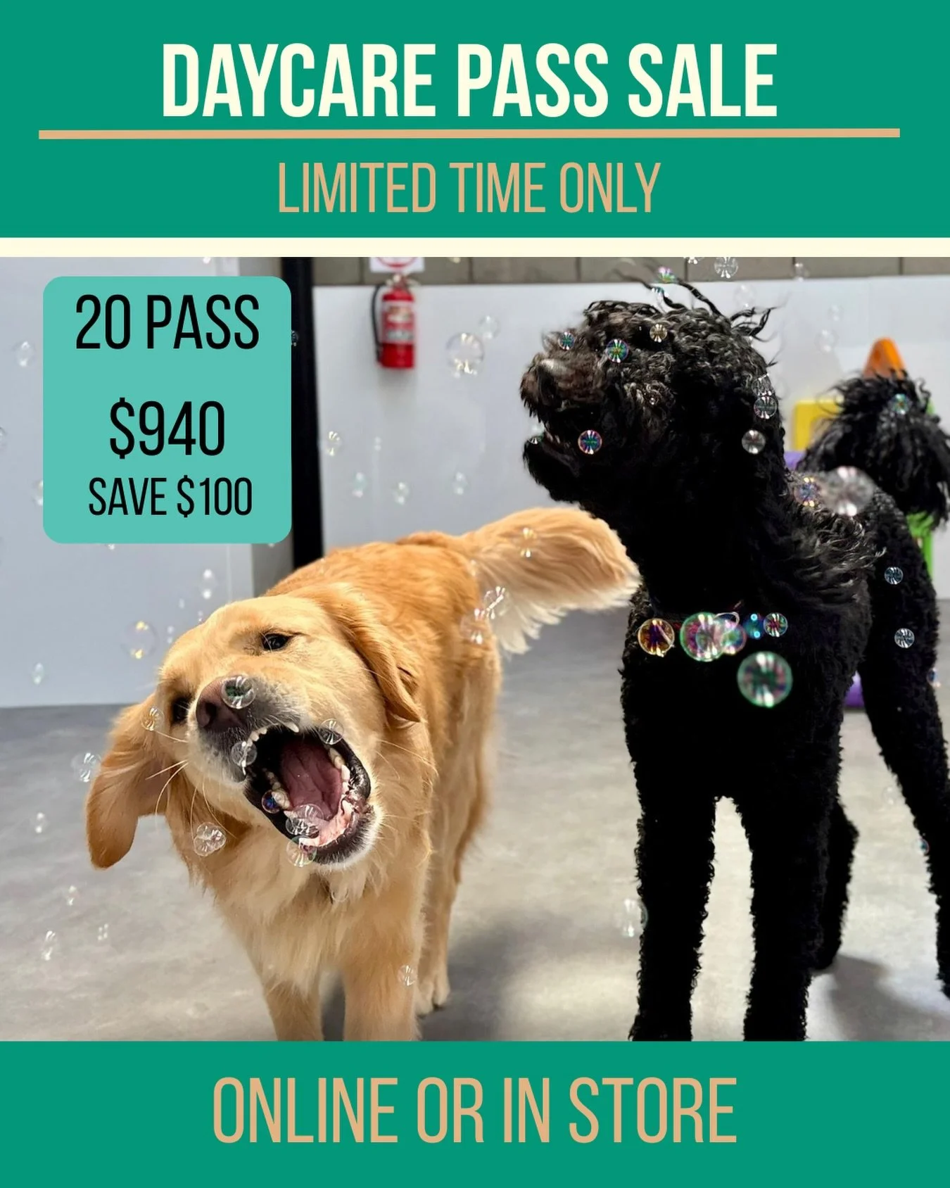 Existing Clients - DAYCARE 20 PASS SALE

Limited time only!

Online or In Store!