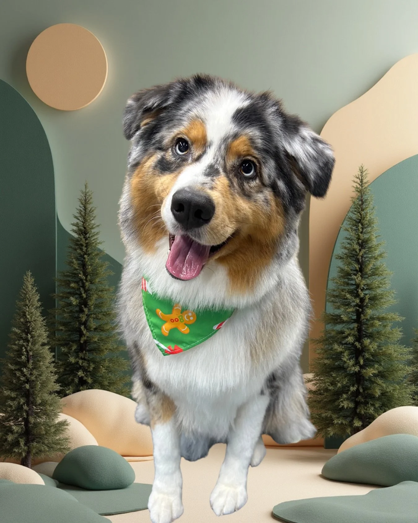 Merry Christmas from Maple 🍁 🎄

✂️ Groom by Aedie

#wagtimeco #wagtimehawthorneast #wagtimeau #wagtimedoggrooming #wagtimegrooming doggrooming doggroomer doggroomersofinstagram