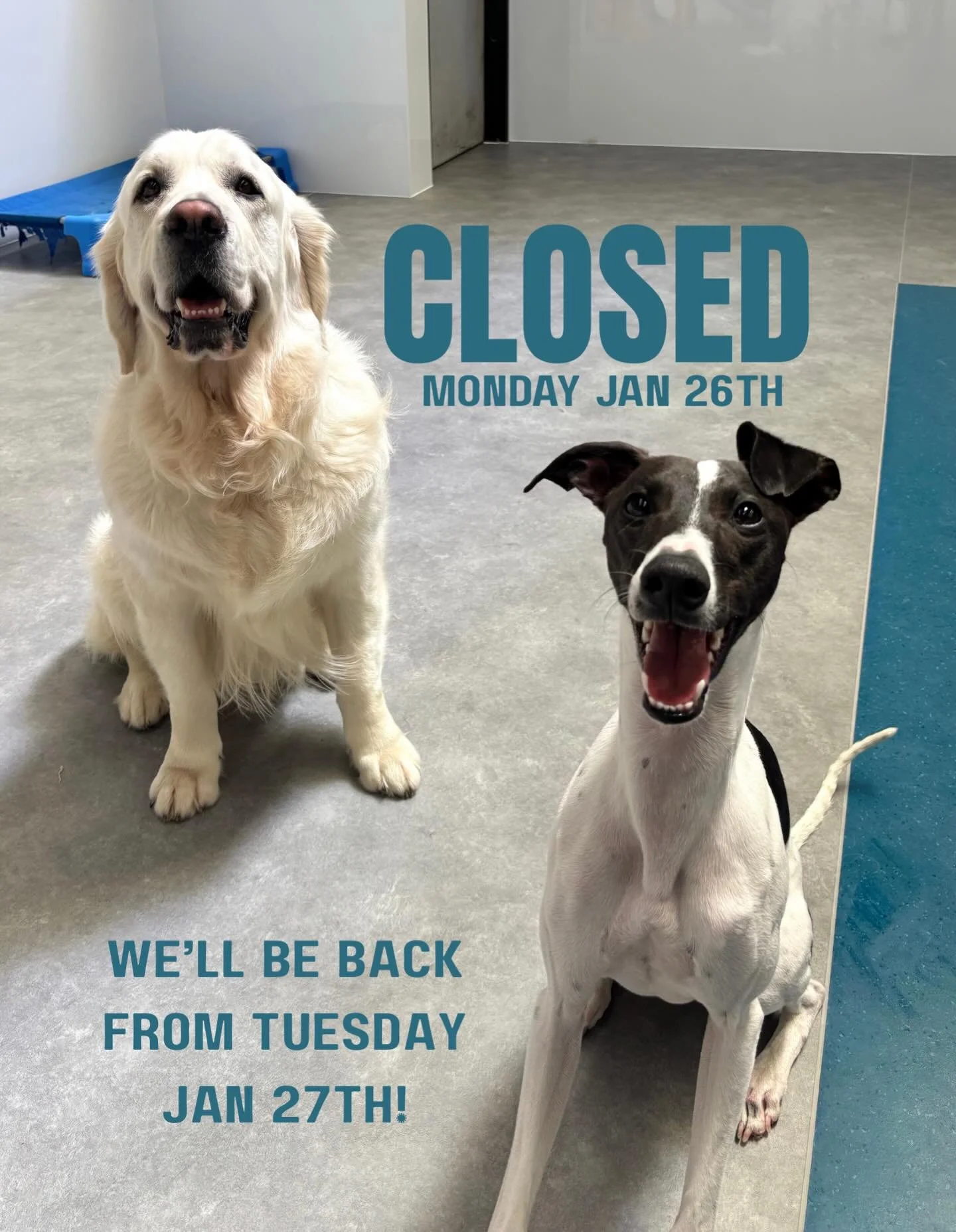 We will be closed on Monday January 26th for the public holiday. We will be back open on Tuesday January 27th!