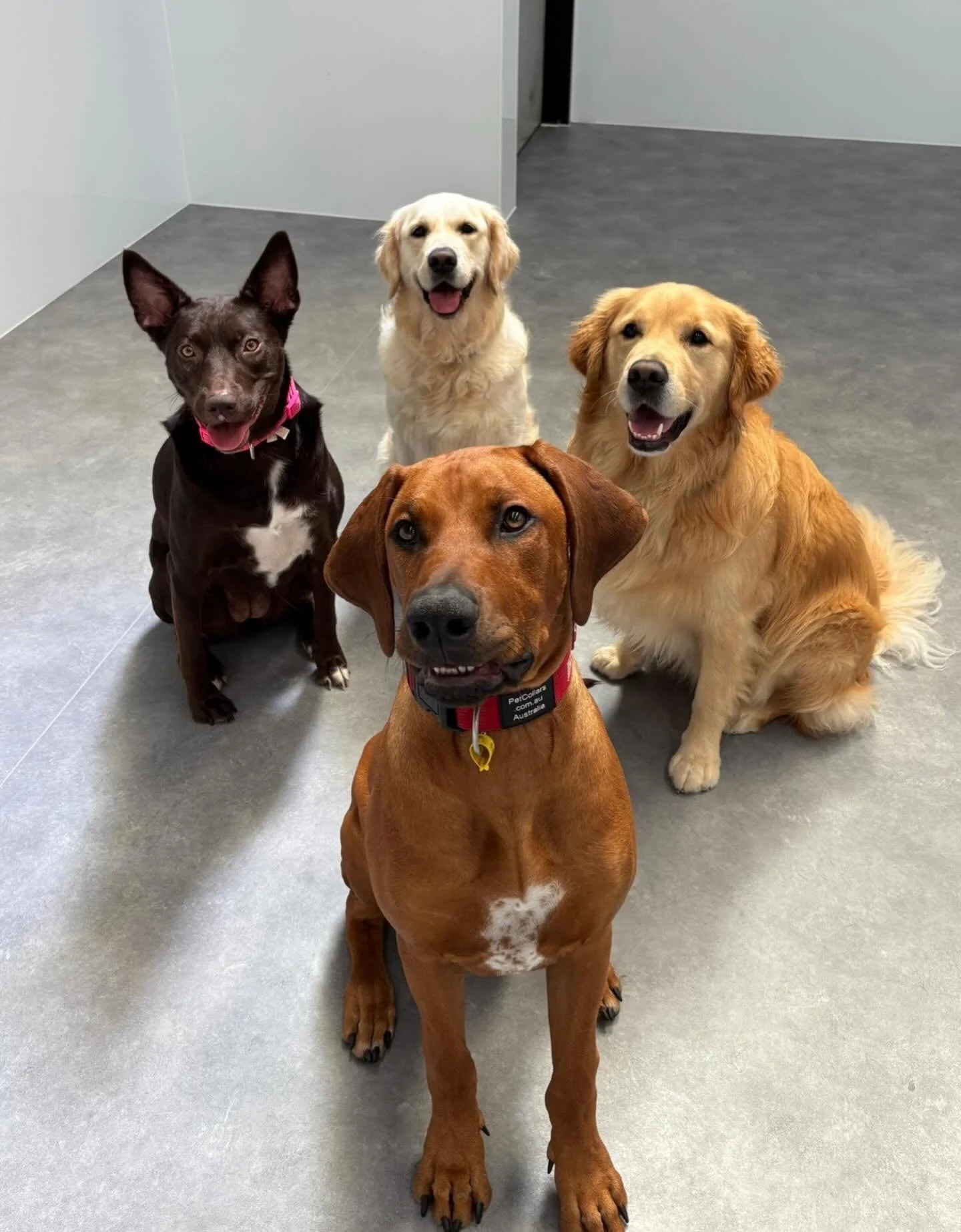 Friday friends! 🥰

@bentley.n.23