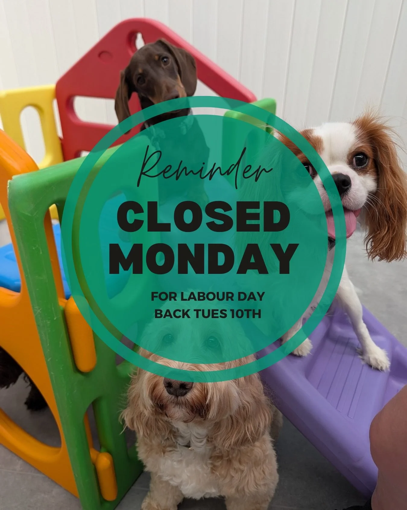 Public Holiday on Mon 9th March! 
We will be closed for the day!
