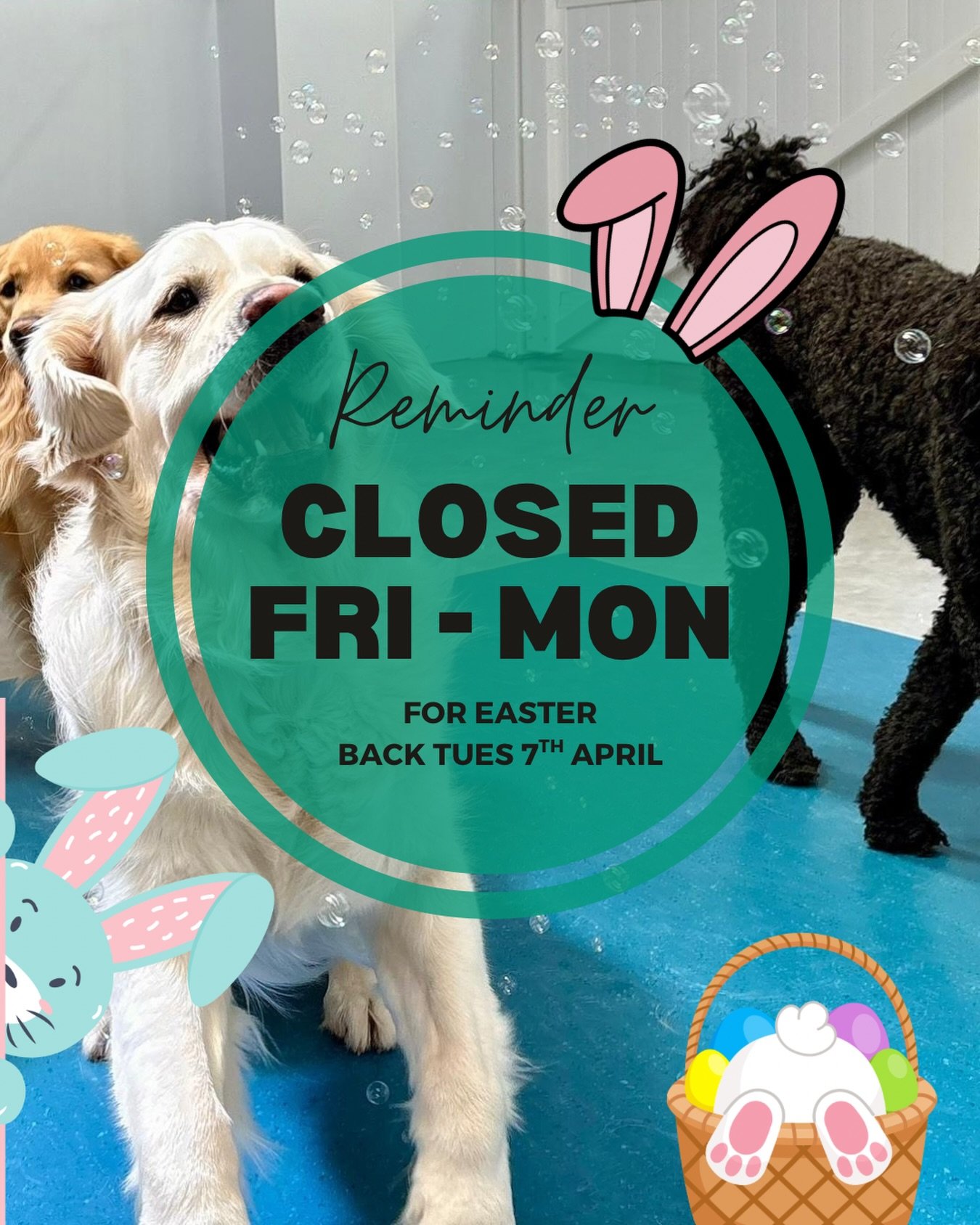 Reminder, closed this long weekend Good Friday through Easter Monday! 

Have a Happy Easter 🐣🐰