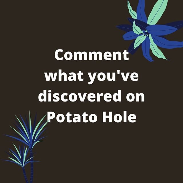 Share what you&rsquo;ve discovered or purchased through Potato Hole!