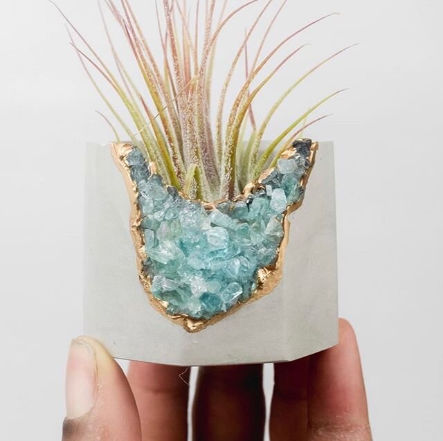 Word on the street is that @talandbert is doing a restock this coming Monday, 6/29. These air planters are the perfect thing to dress up a lonely shelf. We especially love how small space / apartment friendly they are. Set your alarm!!