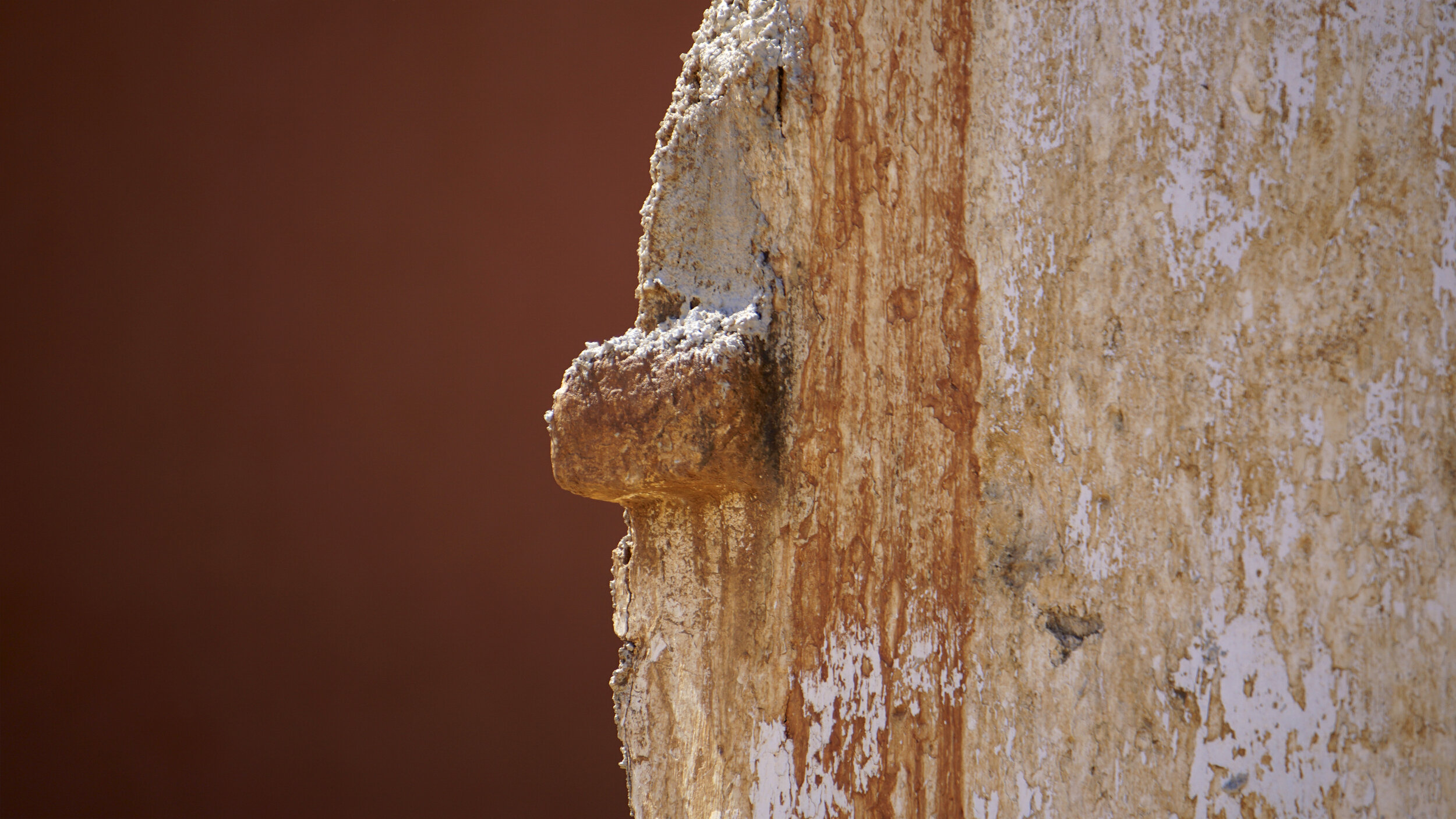 Detalles-V.1