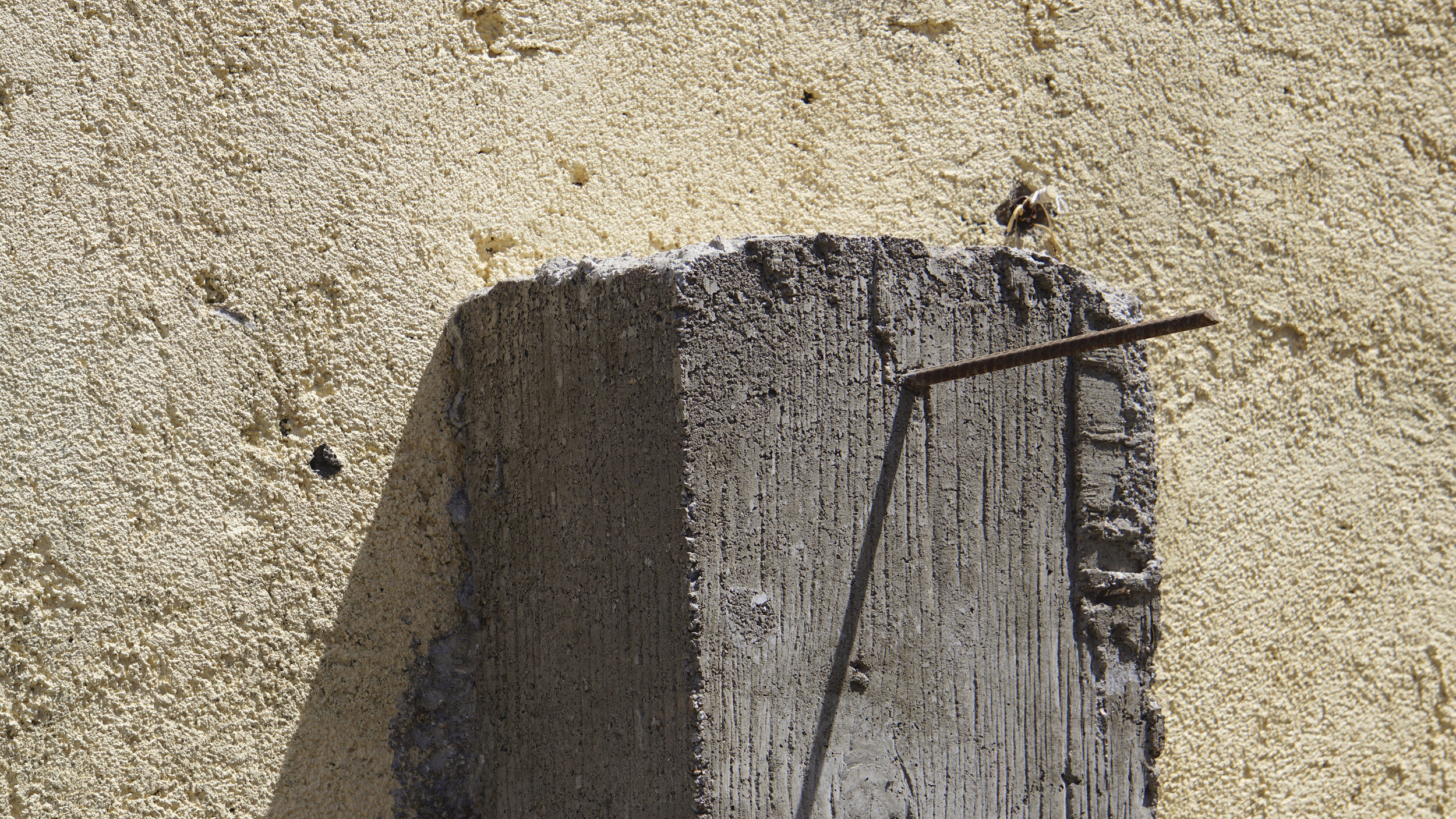 Detalles-V.2