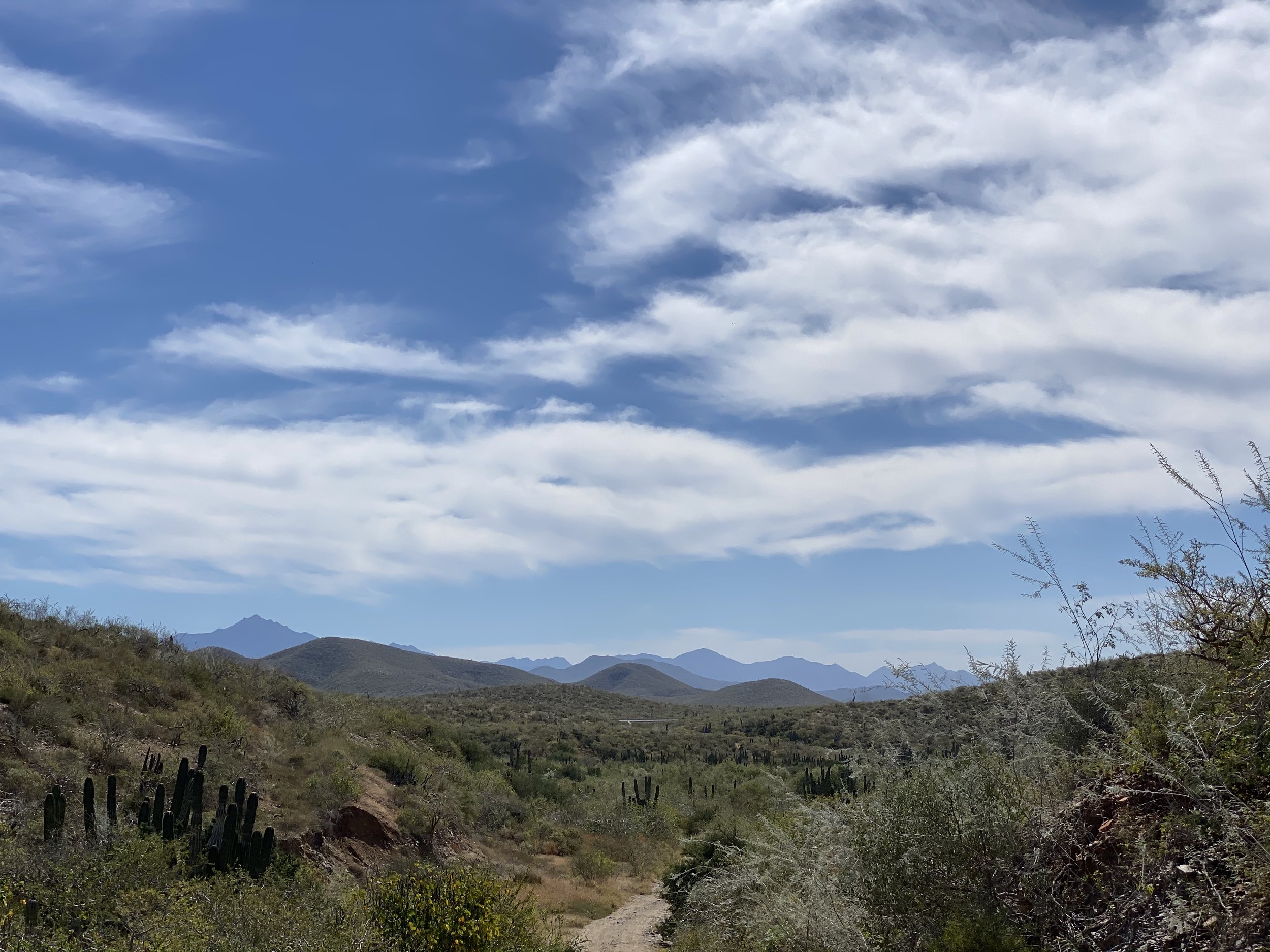 IMG_7124.jpeg