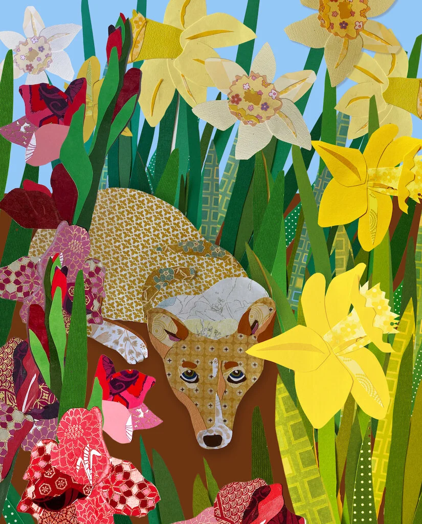 Harper's Joy_web.jpg