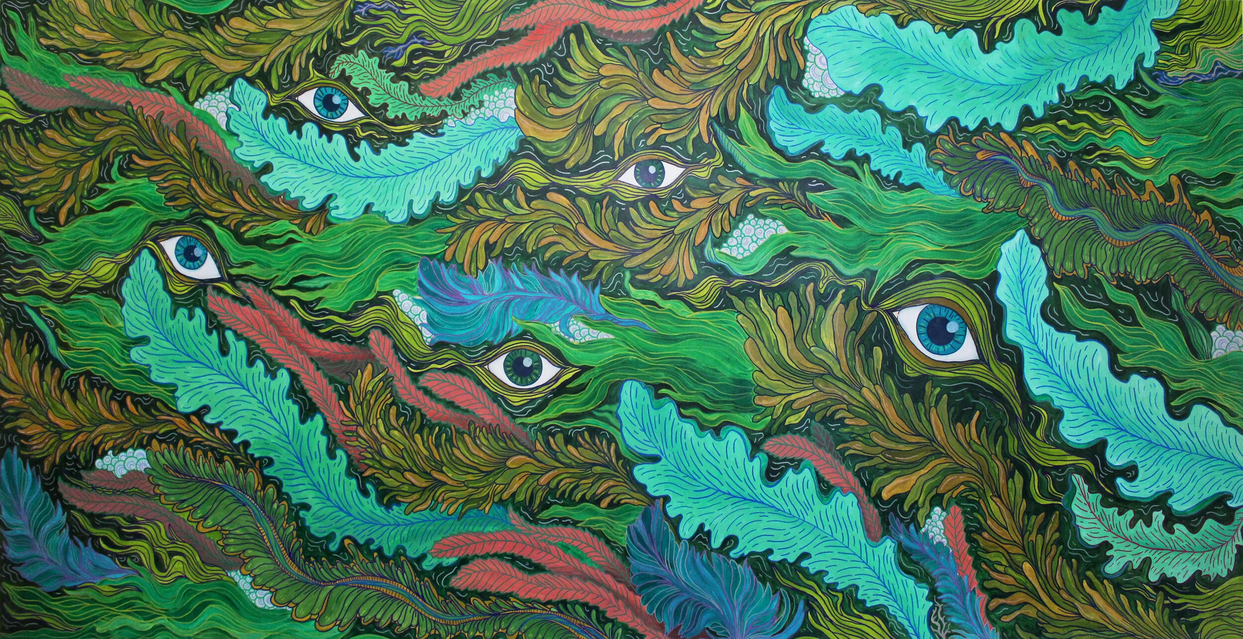 Ola Intu - Seaweed1.jpg