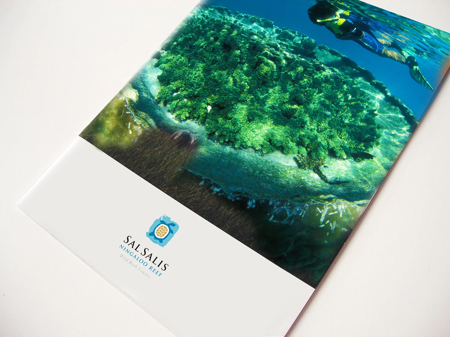 sal salis cover small.jpg