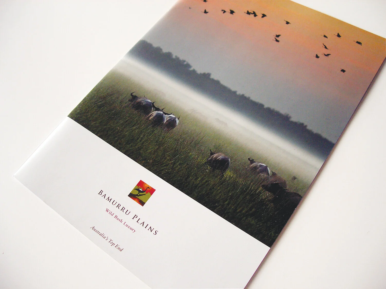 bamurru cover small.jpg