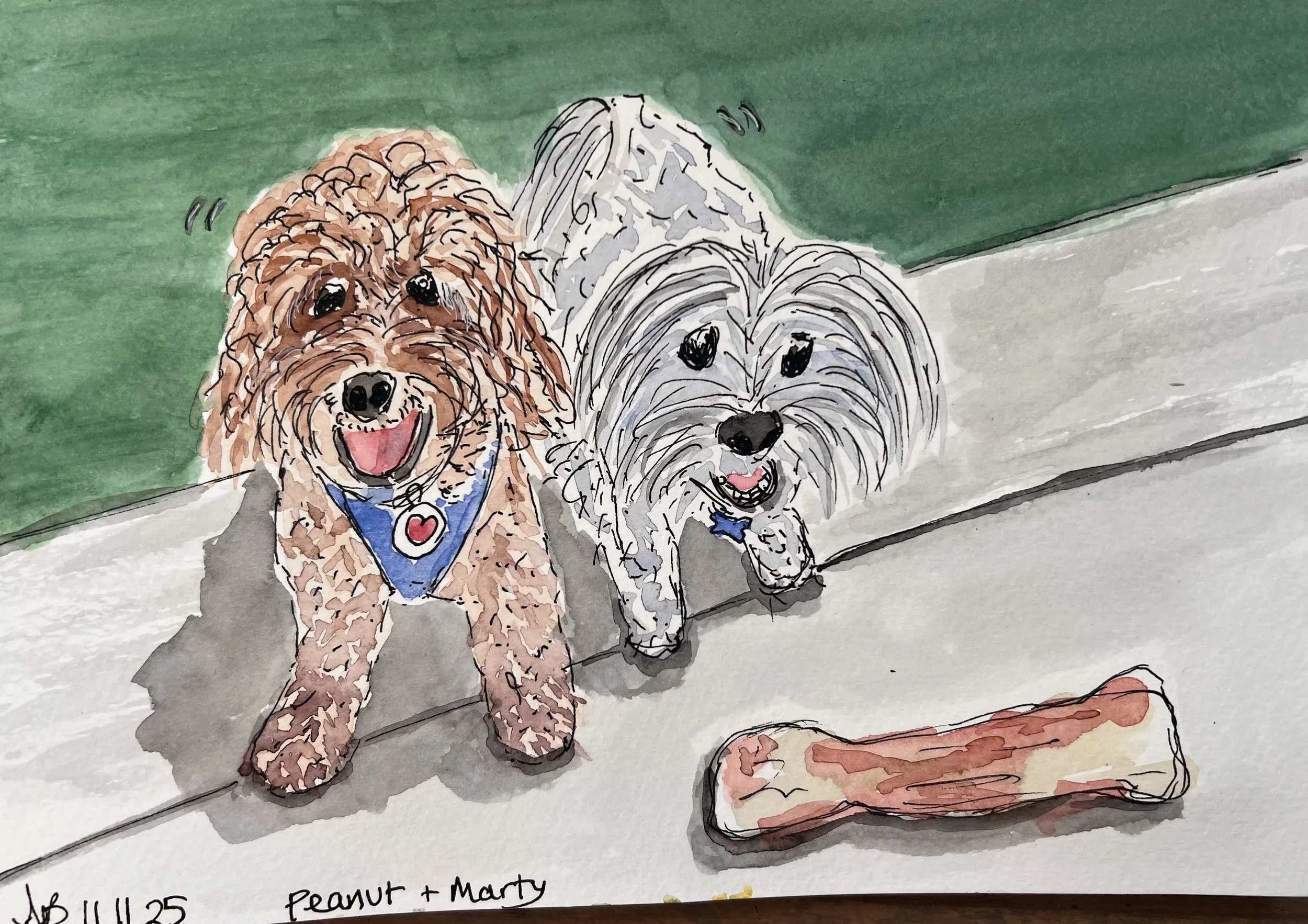 Watercolor painting of two dogs, a brown curly-haired dog and a small silver and white dog, standing on a sidewalk next to a green fence, with a large rawhide bone in front of them.