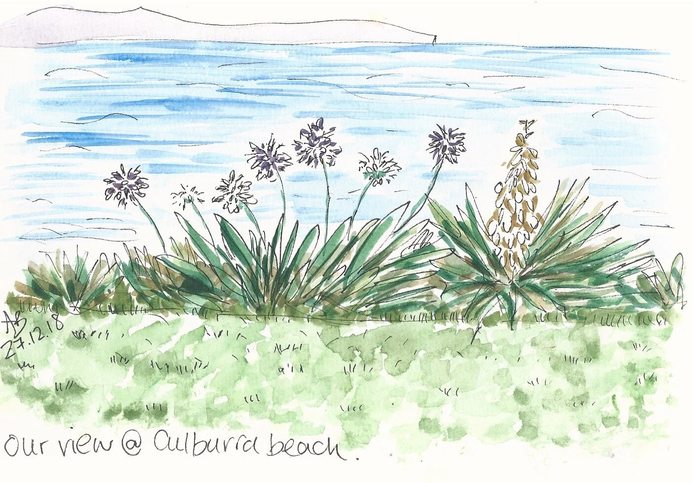 seascape with agapanthus sketch
