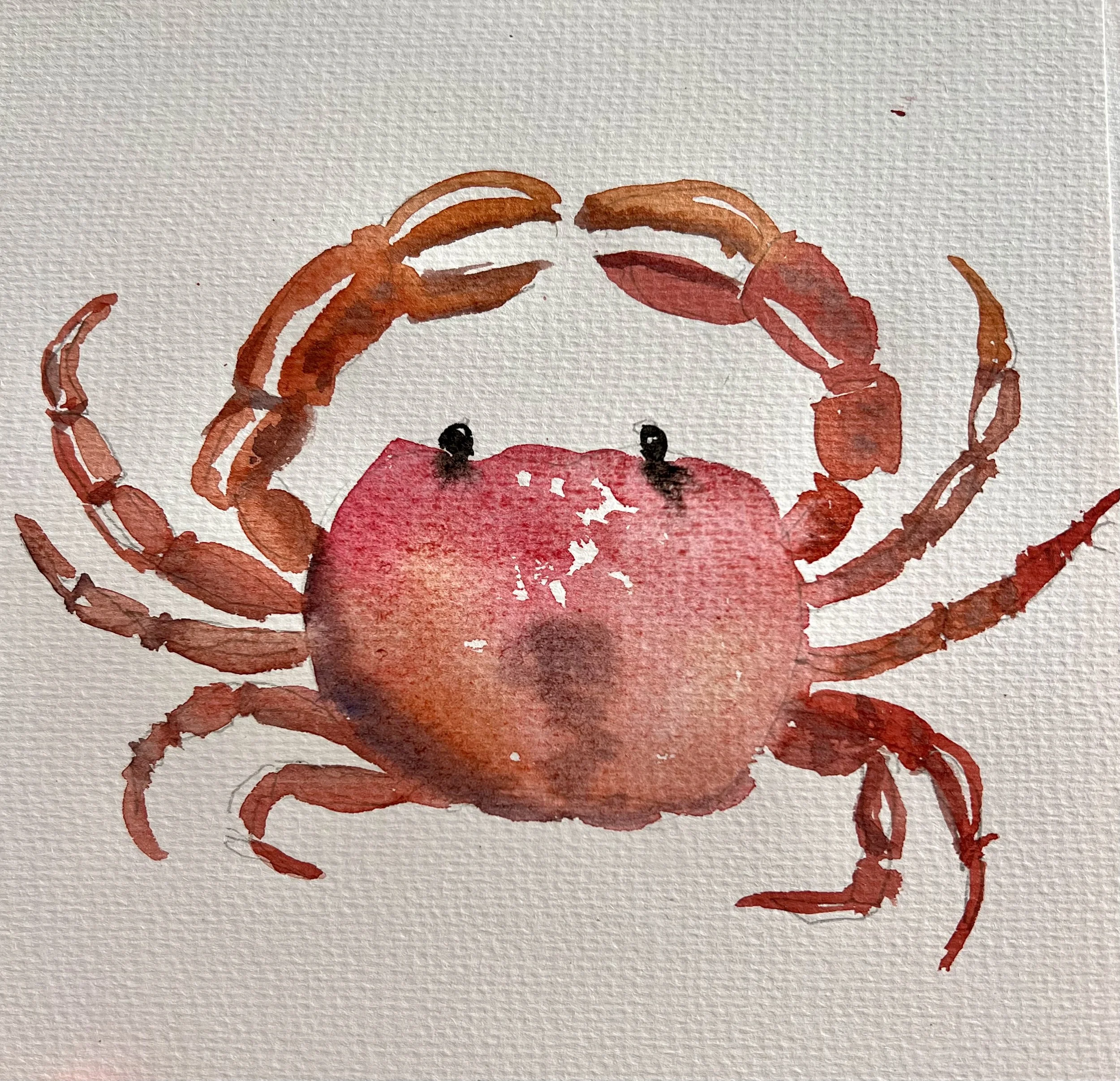 Watercolor painting of a red crab with black eyes on textured paper.