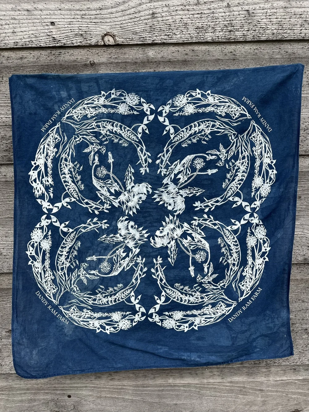 IMG_9414.JPEG?format=1000w