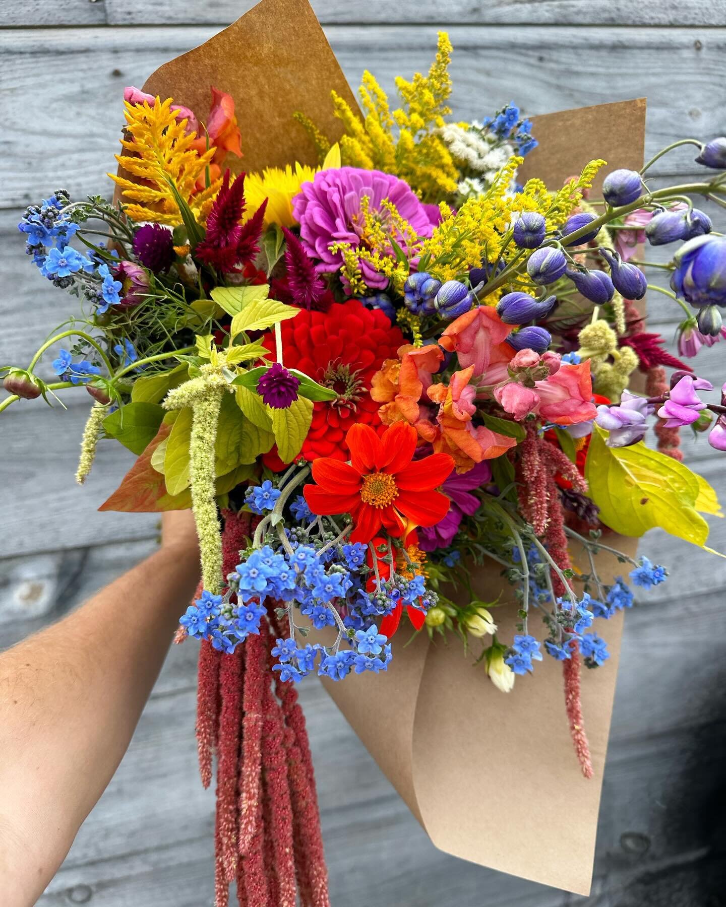 Headed out to soak in some sun and splashes of color before the seeding calendar kicks up. Thanks for your patience on response times as @sparkbagel and I take care of our hearts, minds, and bodies so we can bring you bagels and blooms all summer! 

