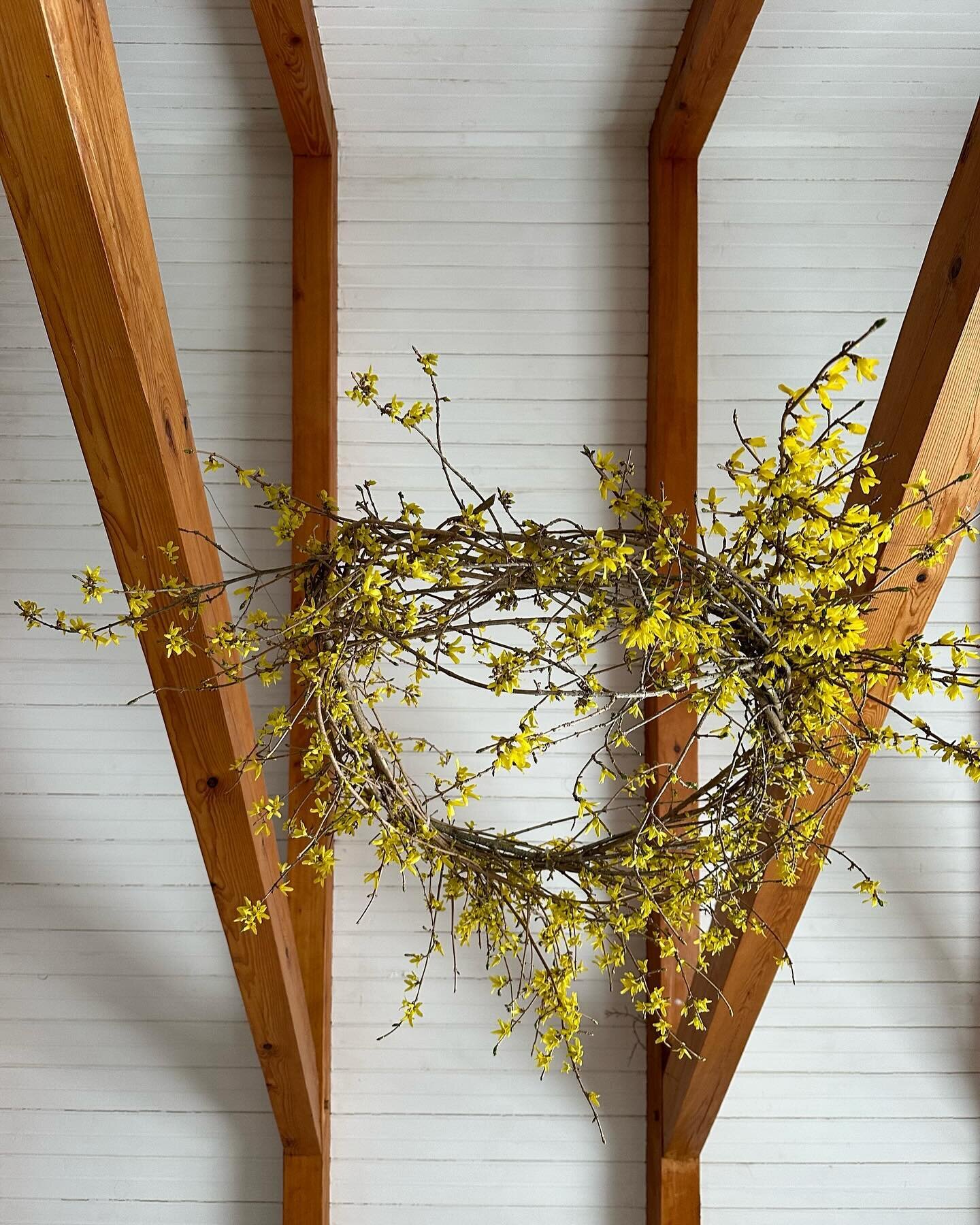 In like a lion out like an ice storm lamb&hellip; 

floating forced forsythia branch wreath to bring the farmhouse into springtime ✨✨