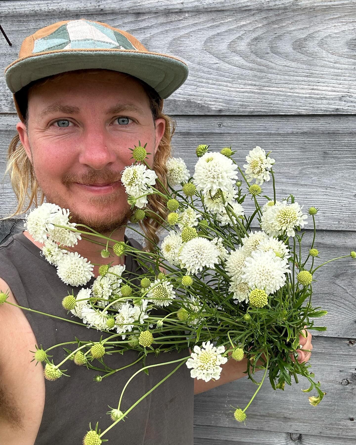Happy trans day of visibility!! I&rsquo;ll be here, taking selfies, growing flowers, and sharing my story. Thank you for following along and building a community through this platform beyond our farm gates in rural Maine. I hope Dandy Ram helps other