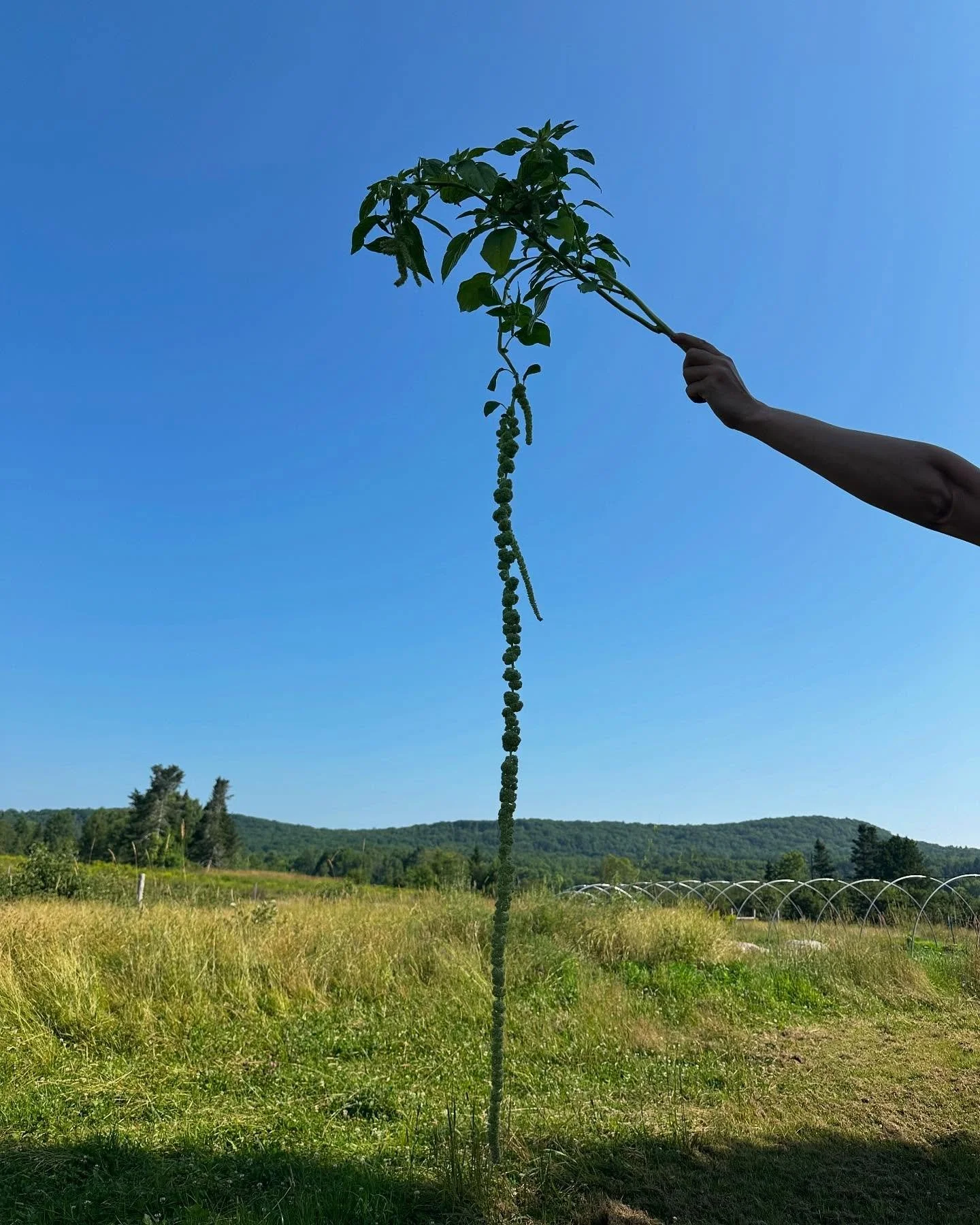 And just like that…. It’s August 🪄🪄🪄