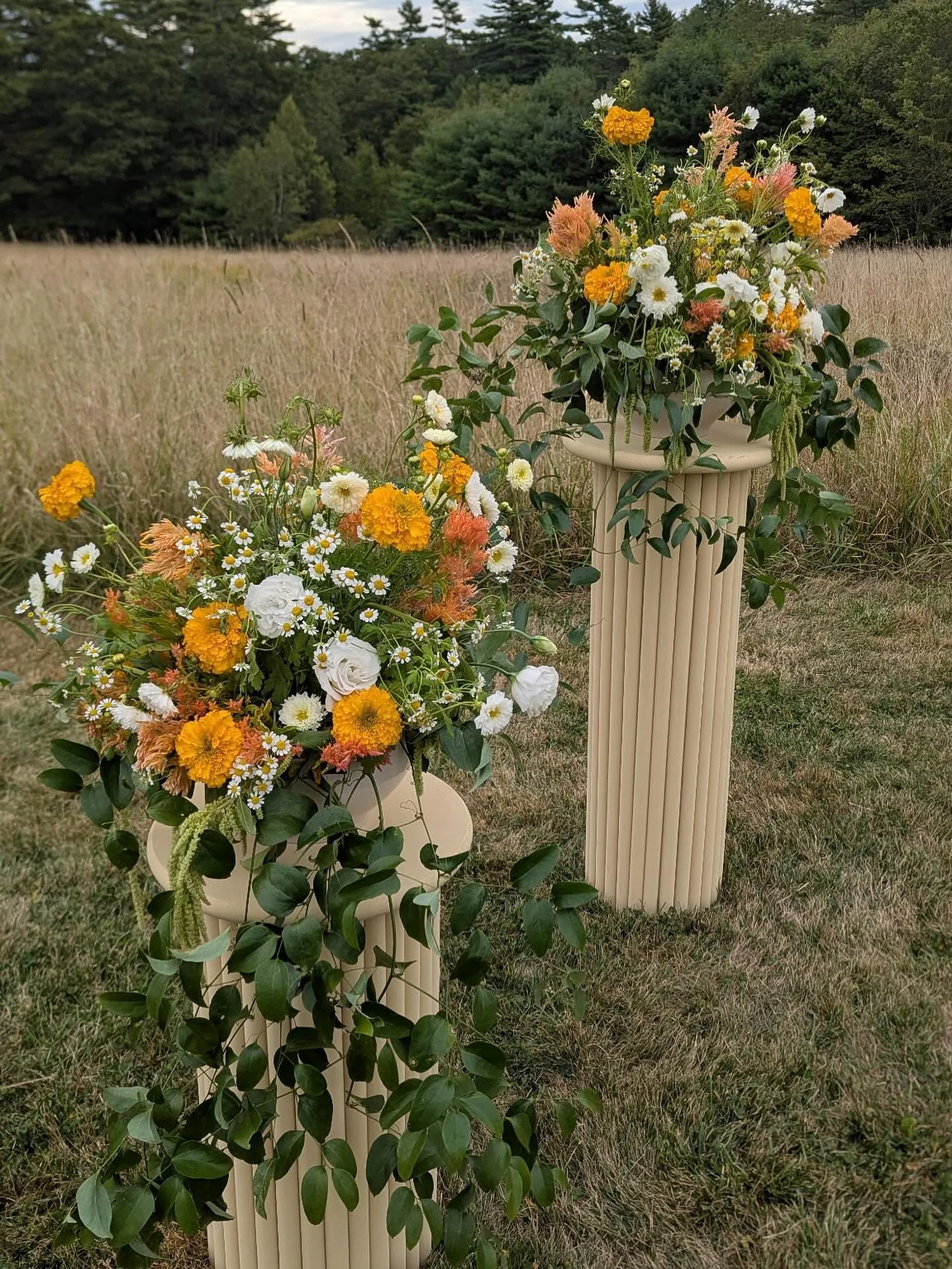 Despite the drought this year, we’ve been slinging some juicy blooms from the farm studio! Flashback to these wildflower style ceremony urns a few weeks back @wanderwoodmaine for a fun orange and white celebration for K + K! Tbh the thirsty tan