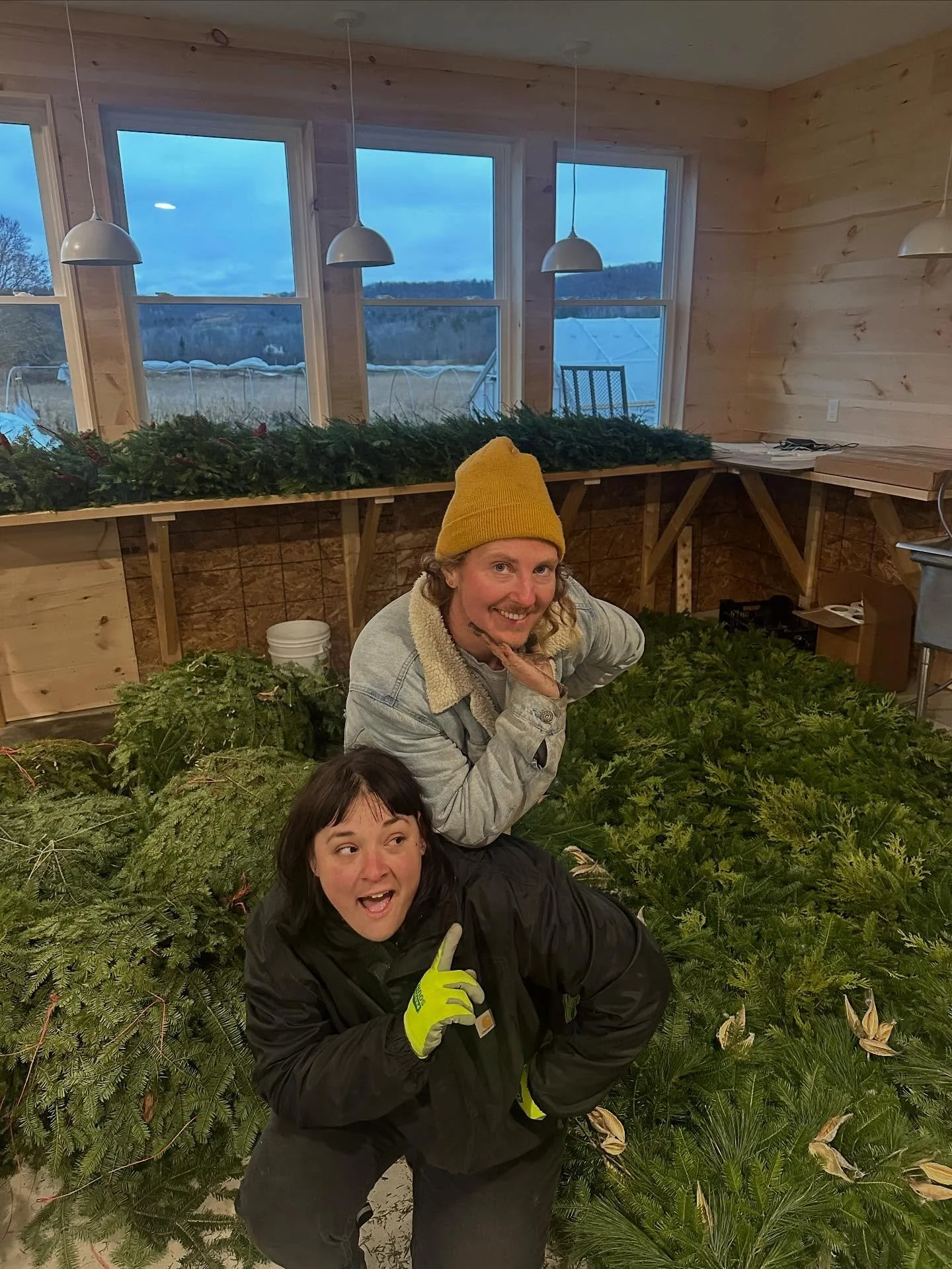 Pre-order balsam wreaths and other holiday offerings will go LIVE on the Dandy Ram website this coming Saturday, Nov 1! Again this year we will be shipping double sided and single sided wreaths, weaving together sustainably harvested greens from the